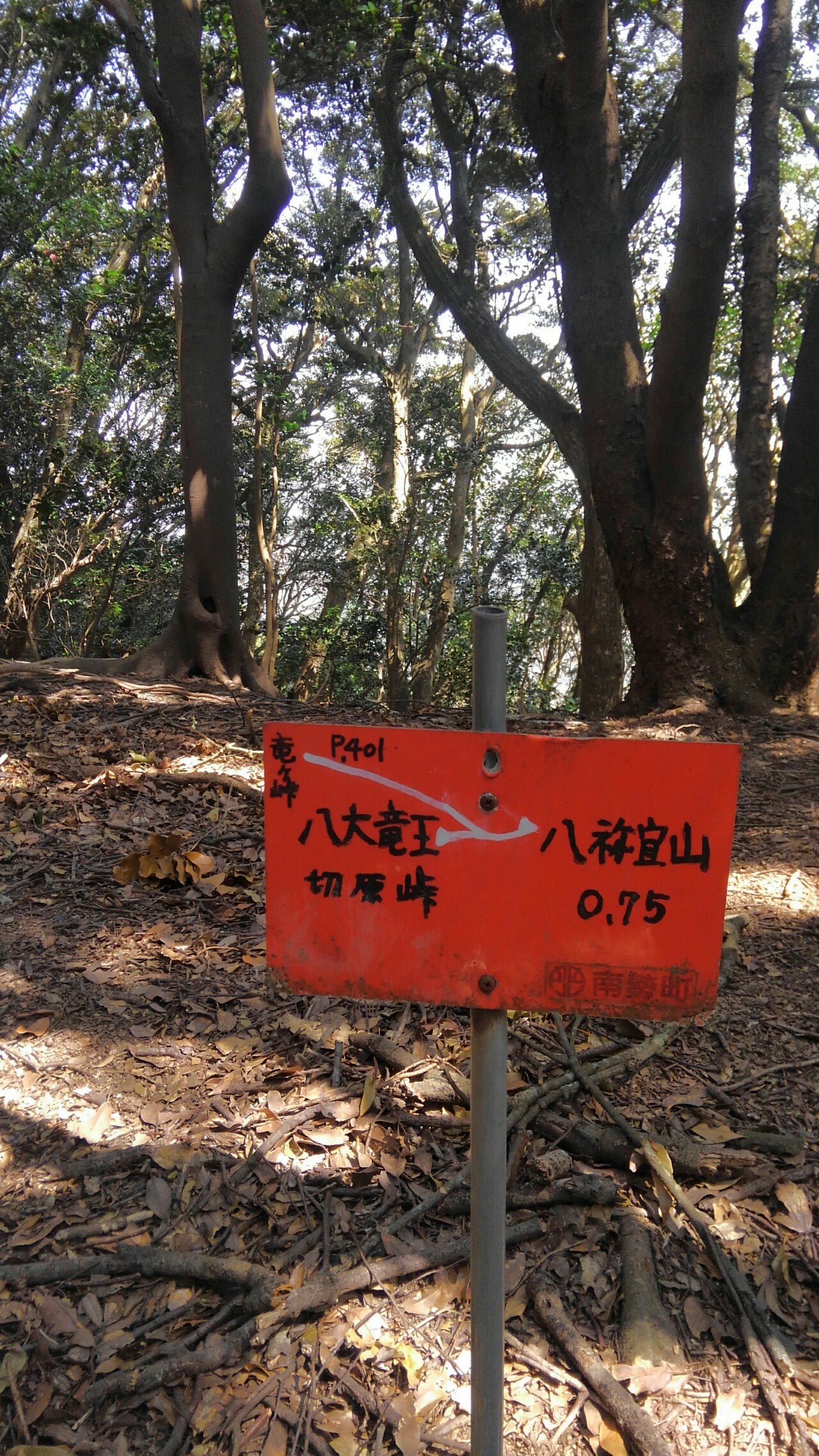 剣峠から伊勢神宮内宮まで 山道onlyで行ってみた Ygsさんの伊勢市の活動データ Yamap ヤマップ