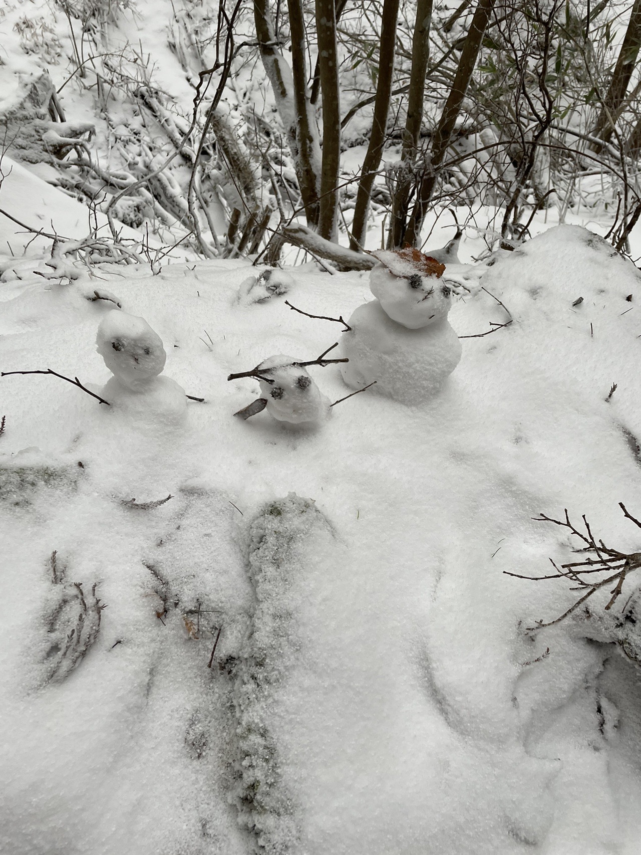 金剛山 Underhandthrowさんの金剛山 二上山 大和葛城山の活動データ Yamap ヤマップ
