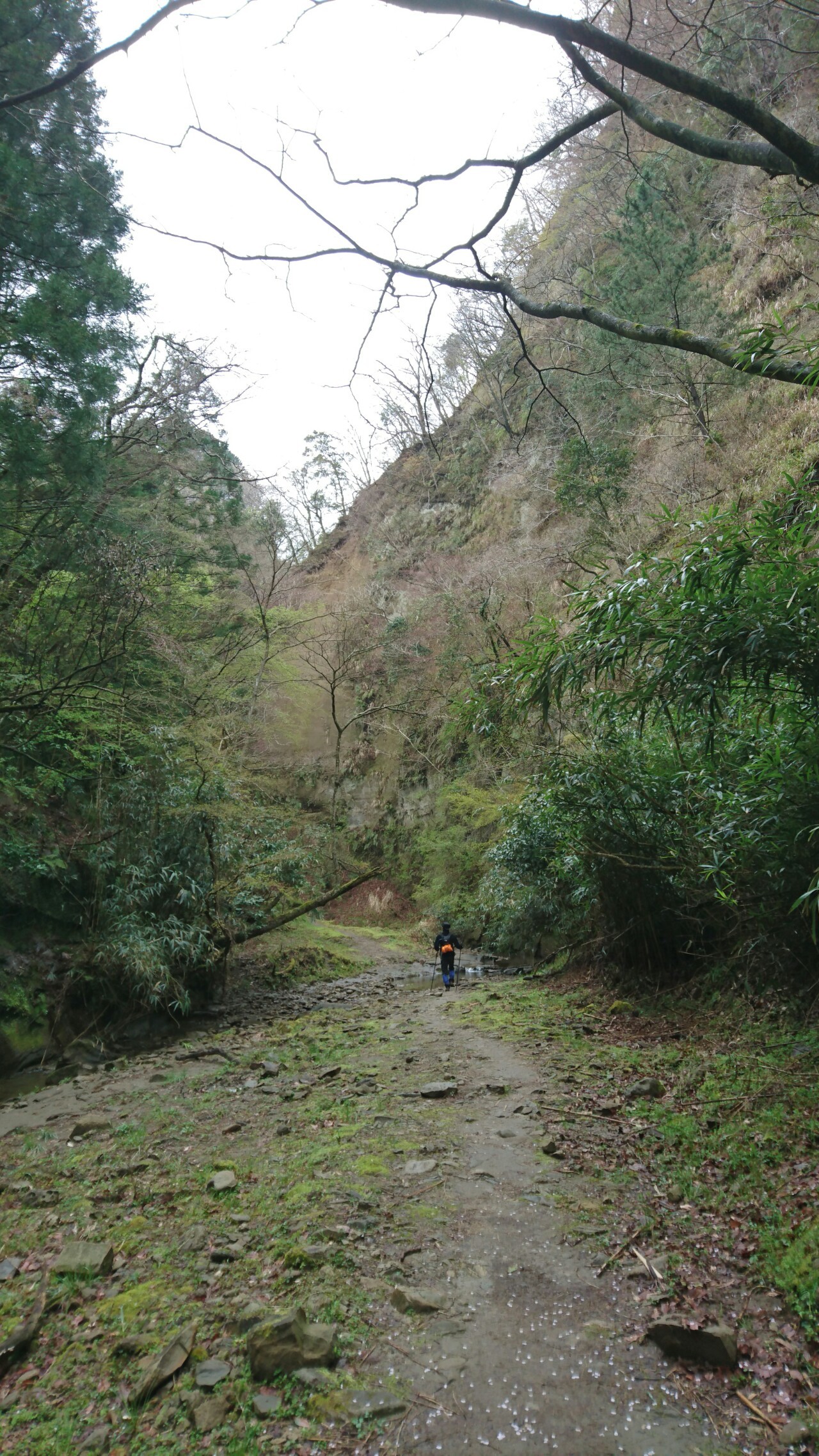 75 養老 渓谷 渓流 釣り すべての魚の画像