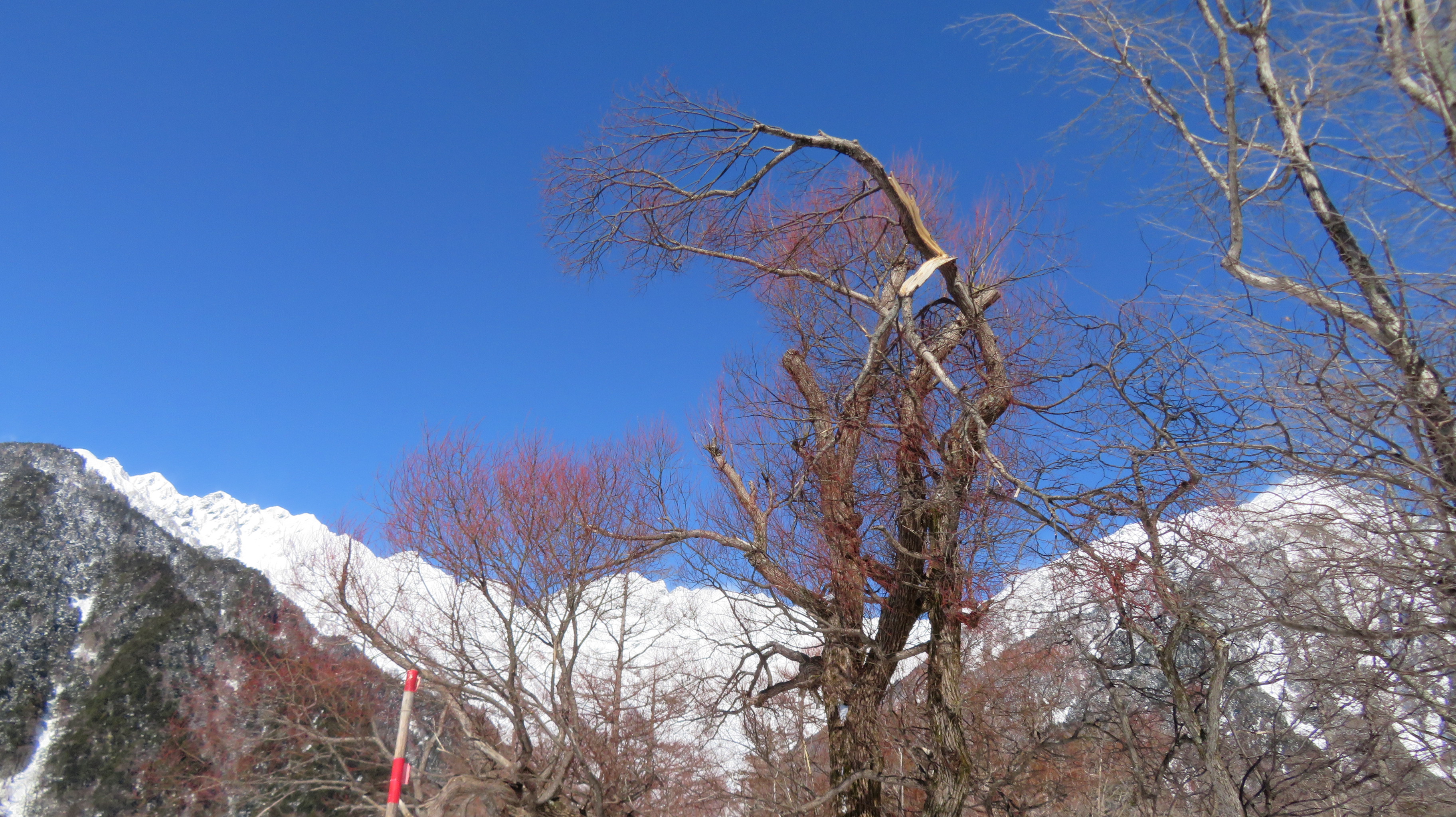 冬の神降地は楽猿でした 上高地 02 11 Manoさんの槍ヶ岳 穂高岳 上高地の活動日記 Yamap ヤマップ