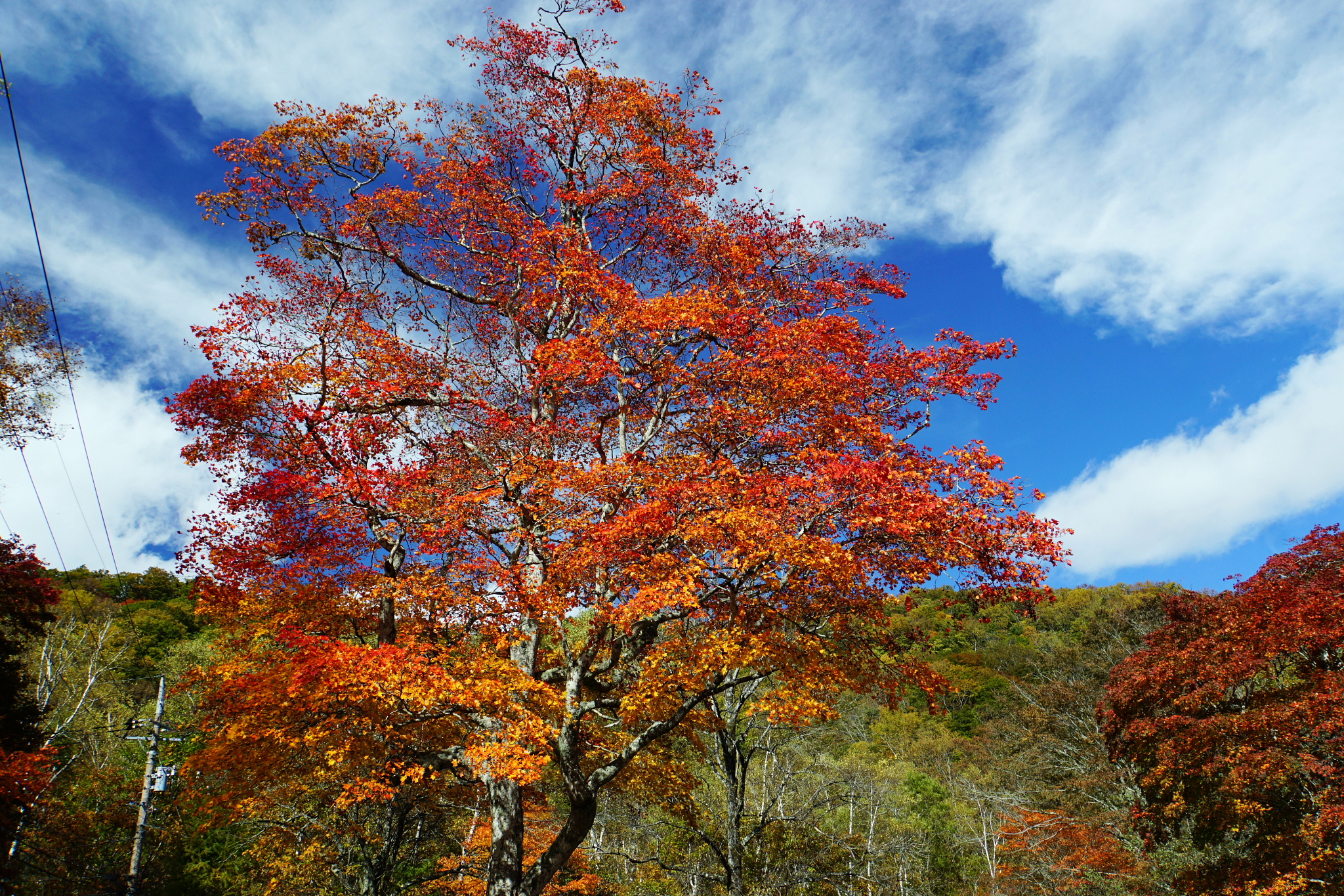 紅葉見頃の日光高山 千手が浜 西の湖 19 10 23 Wataさんの日光白根山 五色山 錫ヶ岳の活動データ Yamap ヤマップ