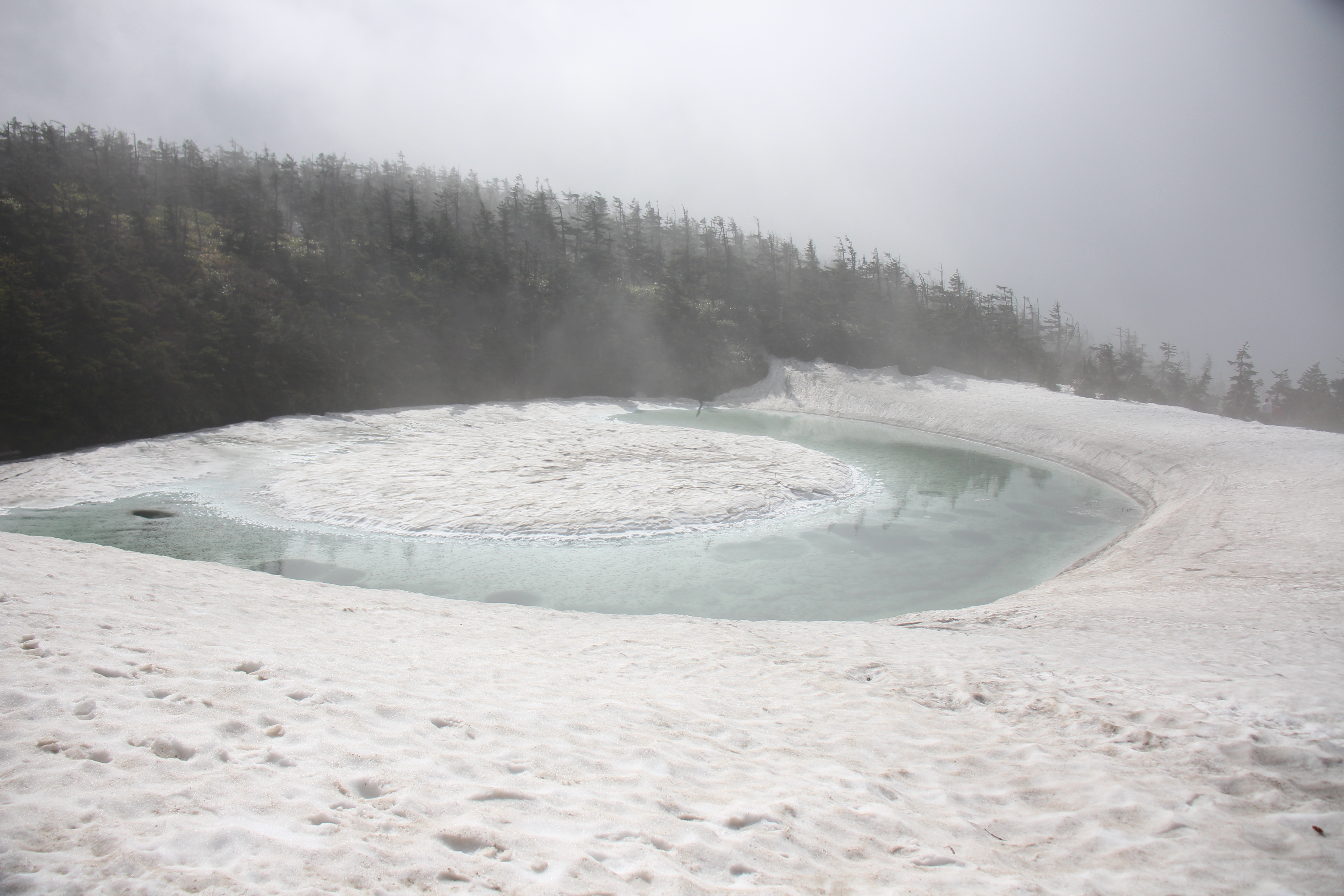 行ってみました 八幡平 ドラゴンアイ ピコさんの八幡平 源太森 安比岳の活動日記 Yamap ヤマップ