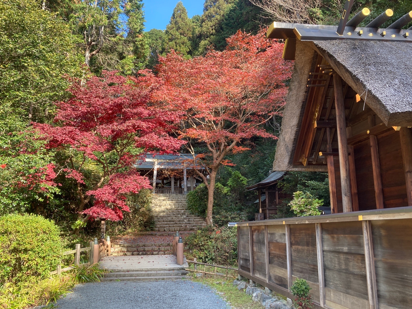 まだ終わらない紅葉 日向大神宮から大文字山 はにぃさんの大文字山 如意ヶ嶽 稲荷山の活動データ Yamap ヤマップ