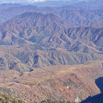 紅葉いい感じ🍁