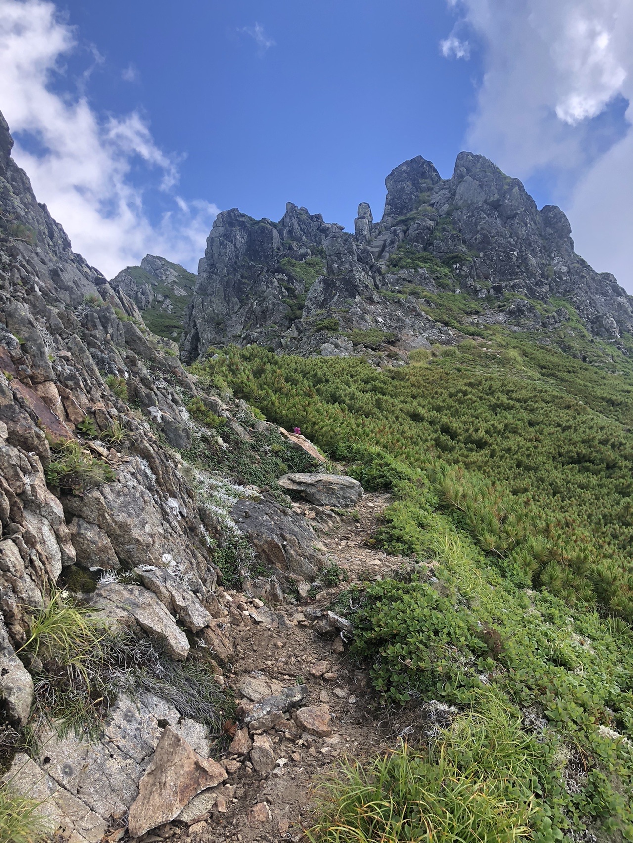 1967峰 ハイマツを越えてたどり着く ユッキーさんの幌尻岳 戸蔦別岳 伏美岳の活動データ Yamap ヤマップ