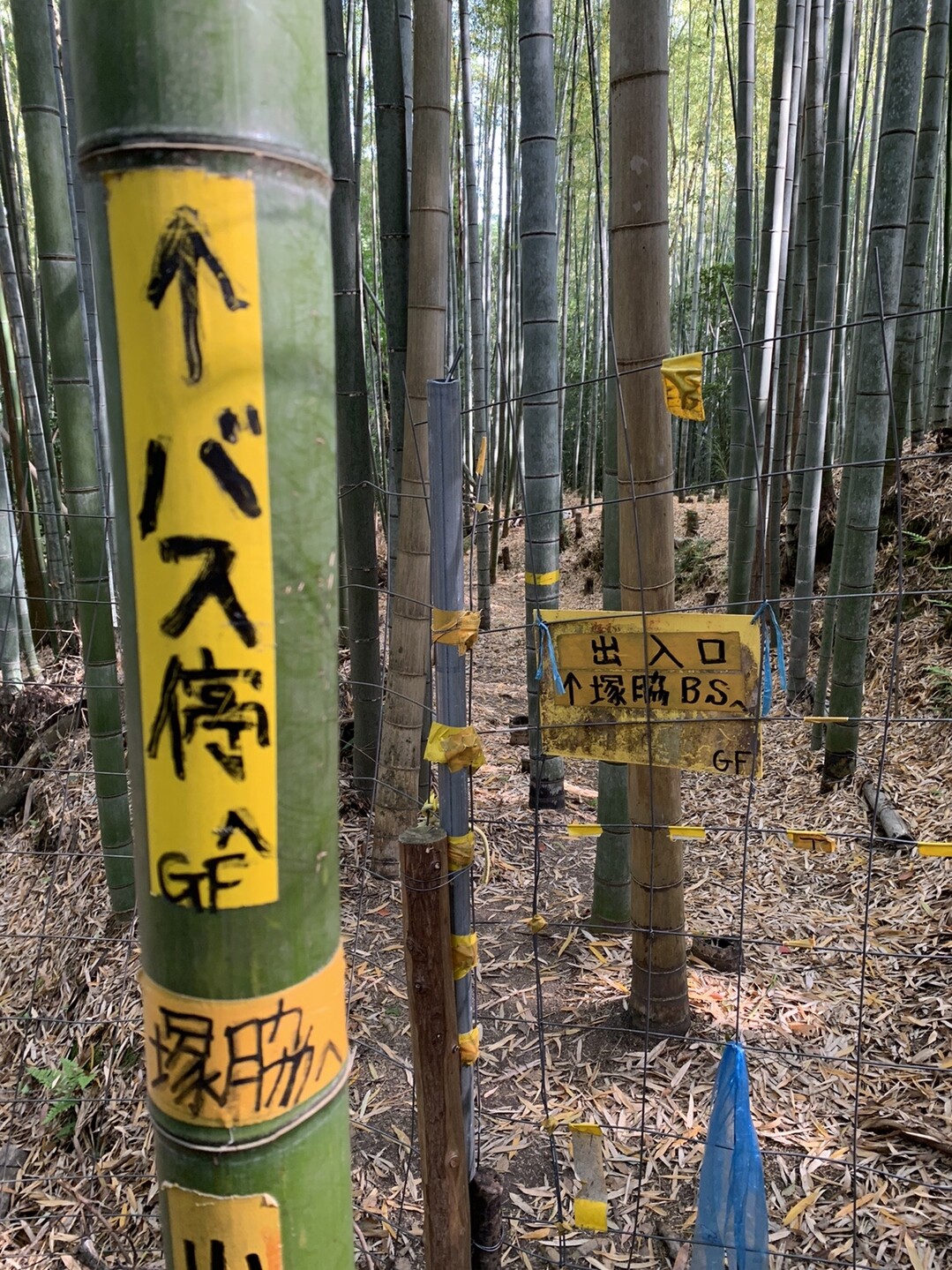 ポンポンポーンとポンポン山 ポンポン山 釈迦岳 小塩山 若山の写真30枚目 三好山下山道 Bsはバスストップ Gf Yamap ヤマップ