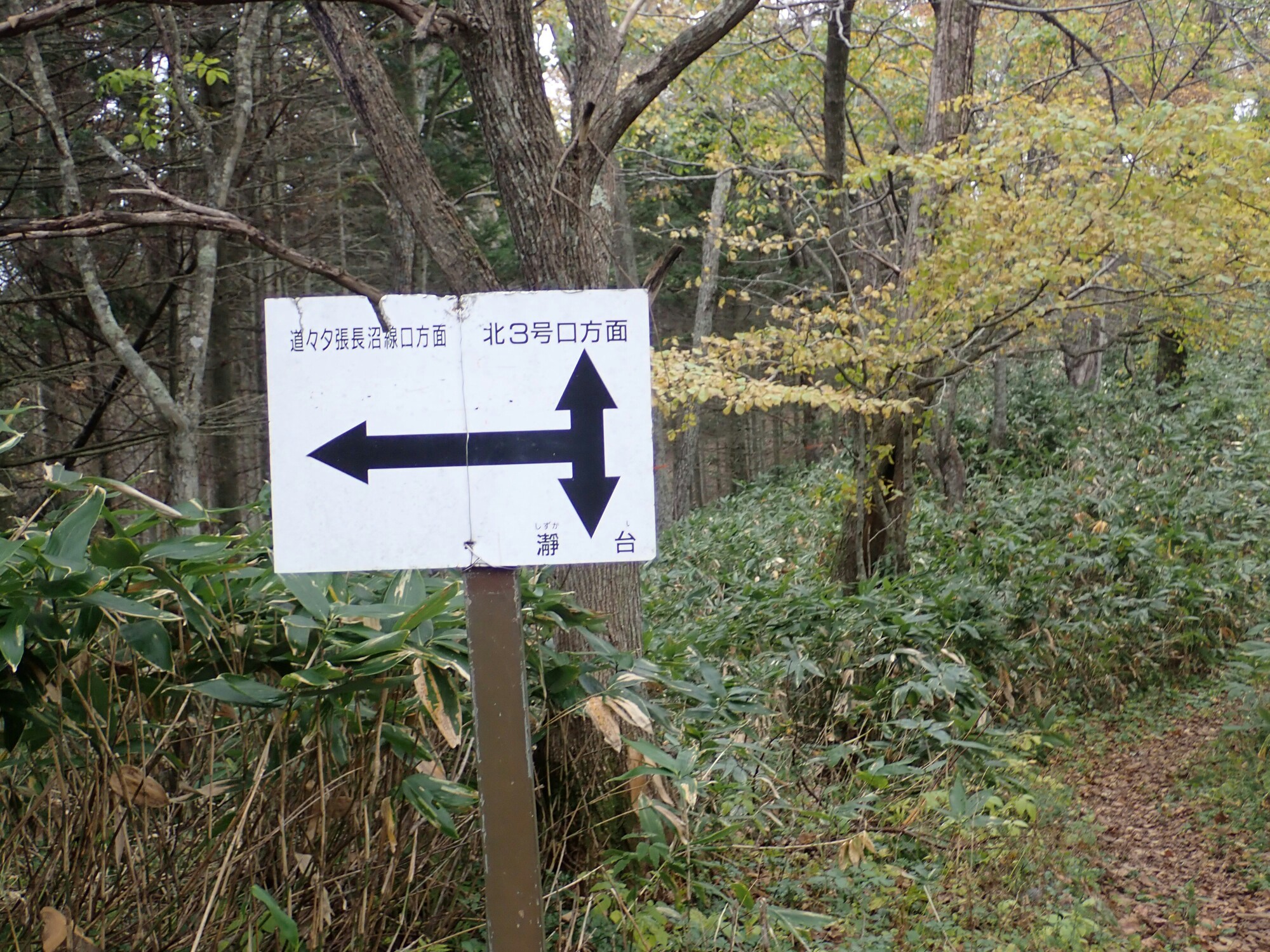 マオイ山三昧 19 10 26 みなみんみんさんの馬追丘陵 長官山 瀞台 馬追山 の活動日記 Yamap ヤマップ