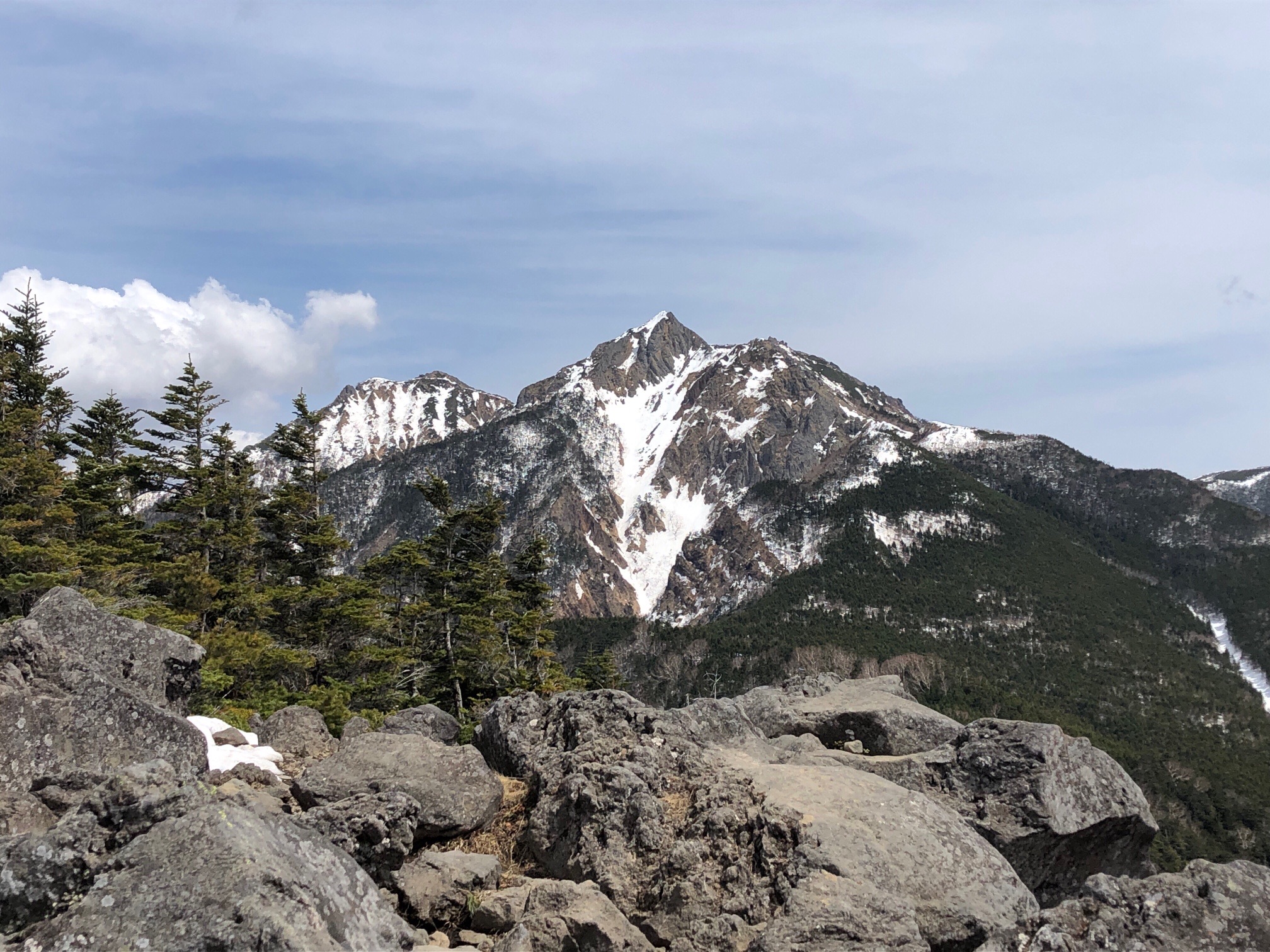 権現、兄貴を眺める。