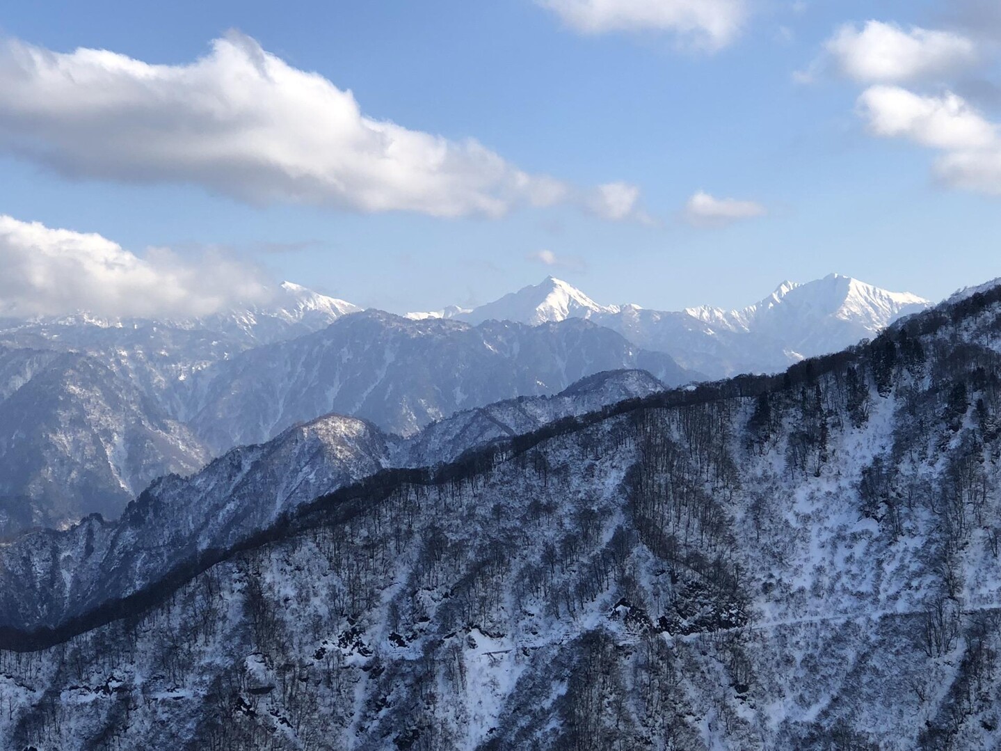 烏帽子山20221210 / トキさんのウォーキングの活動データ YAMAP / ヤマップ