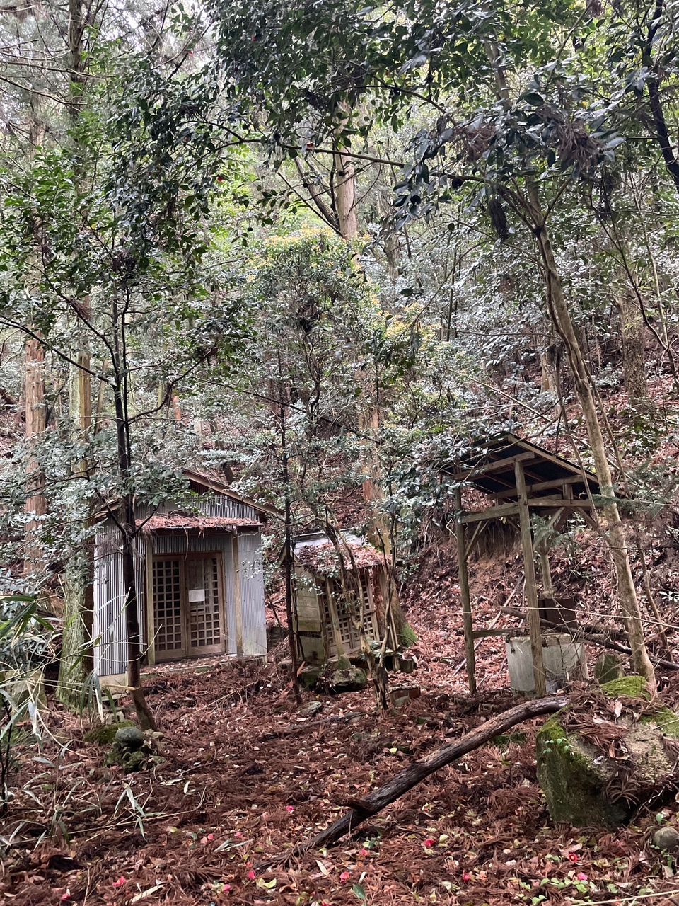 古寺山 廃神社 直樹さんの六甲山 長峰山 摩耶山の活動データ Yamap ヤマップ