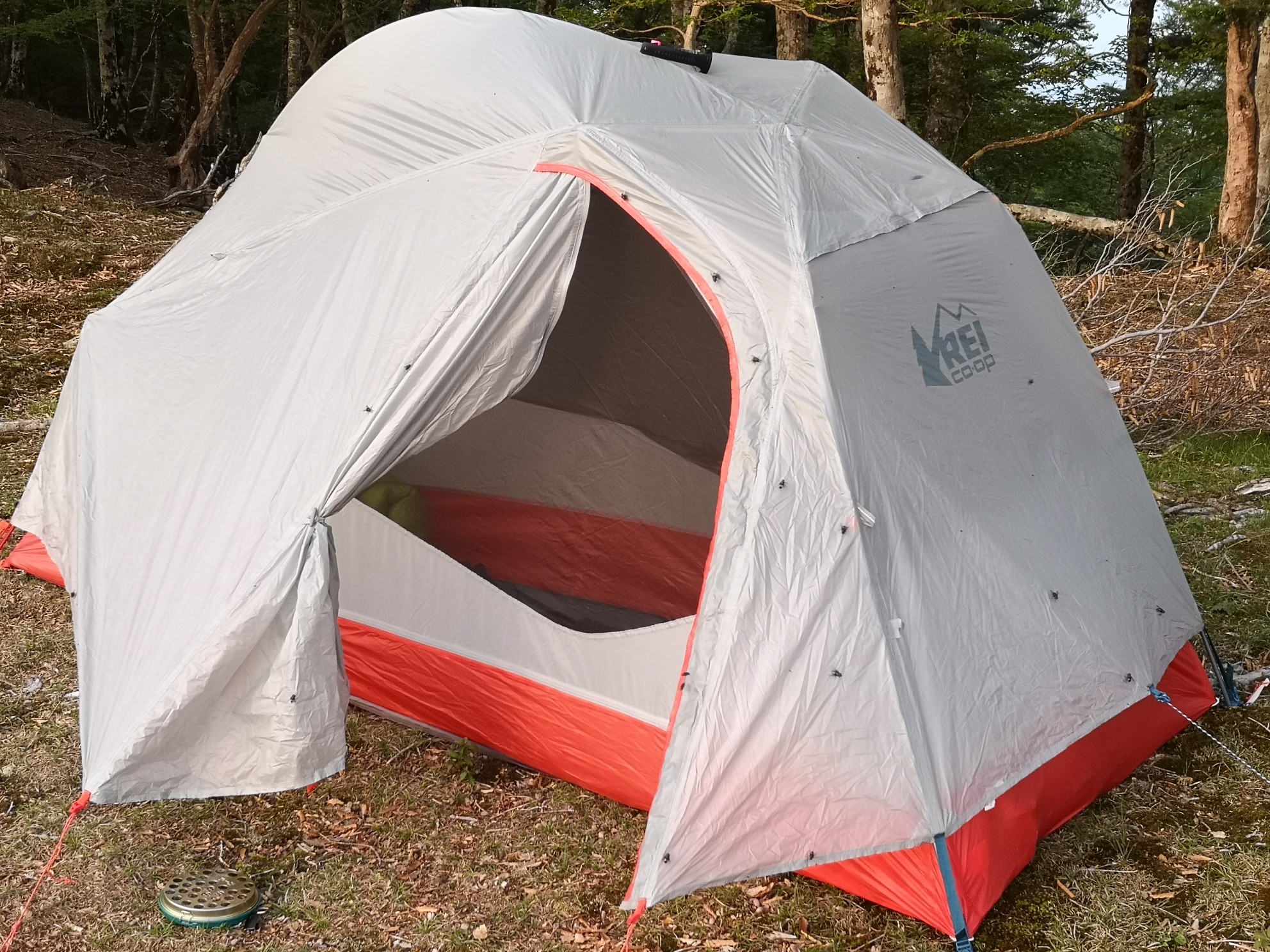 ゆるゆるテント泊 天女の舞 Redsさんの八経ヶ岳の活動データ Yamap ヤマップ