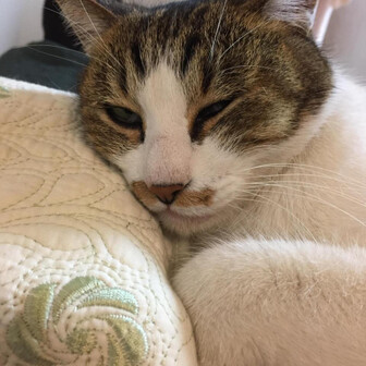 さとる
