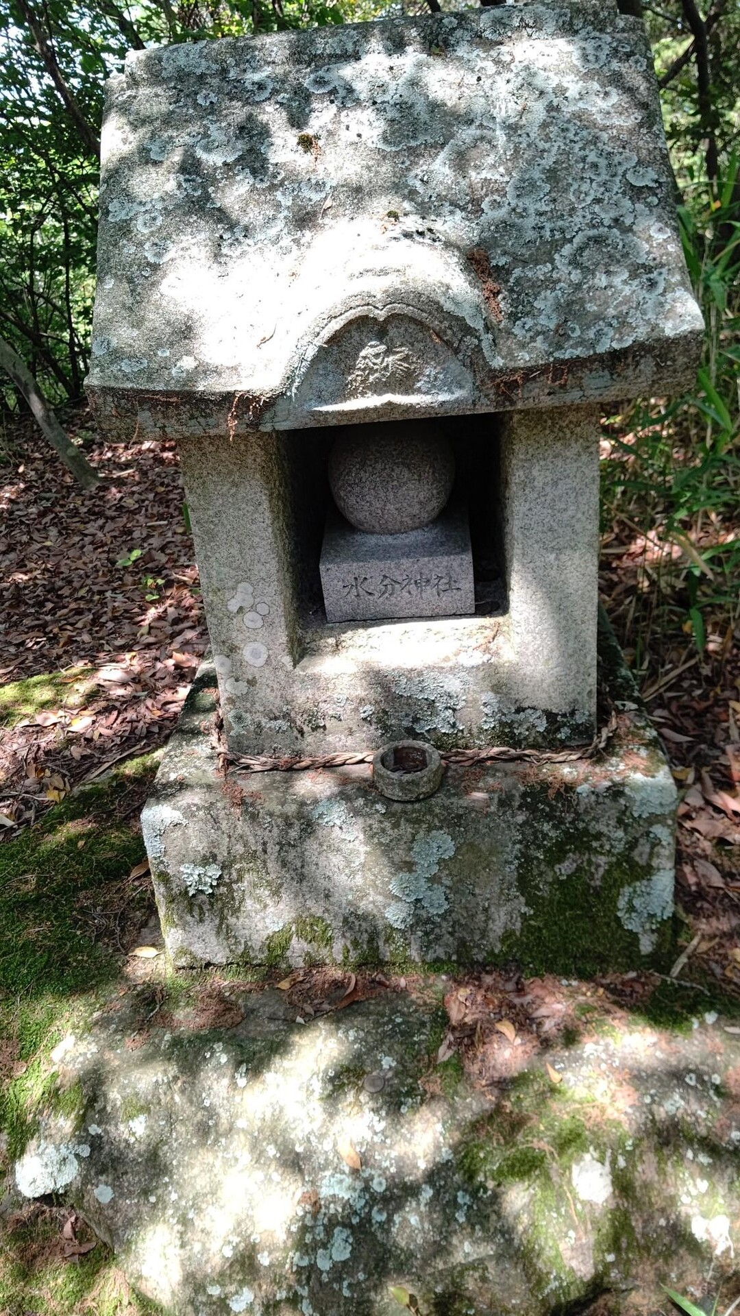 中津山・西山・如意山・鉢伏山・磨臼山・鶴ヶ峰 / はぎのさんの四国遍路その19の活動データ | YAMAP / ヤマップ