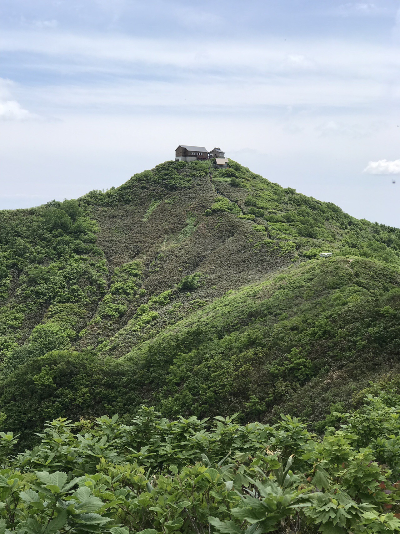 太平山 秋田 山開き19 06 09 よっちゃん さんの太平山 馬場目岳の活動データ Yamap ヤマップ