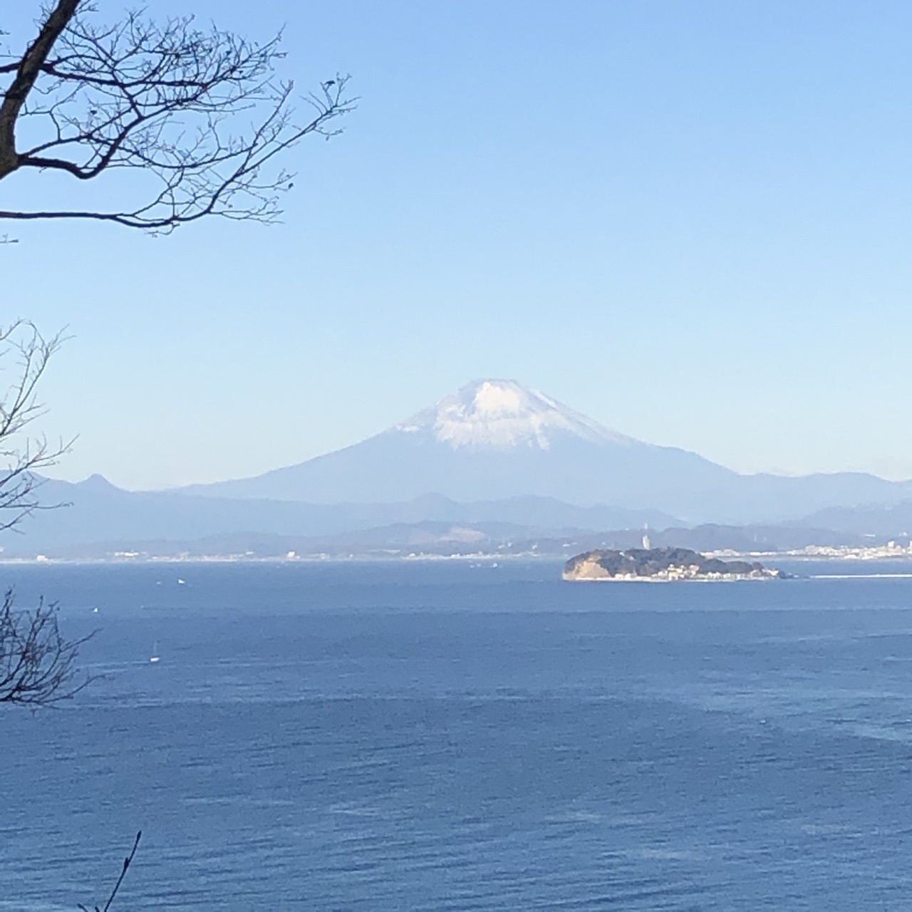 長柄桜山古墳群 ソッカ 大峰山 初夢に富士山を みゅさんの三浦アルプス 二子山 仙元山の活動データ Yamap ヤマップ