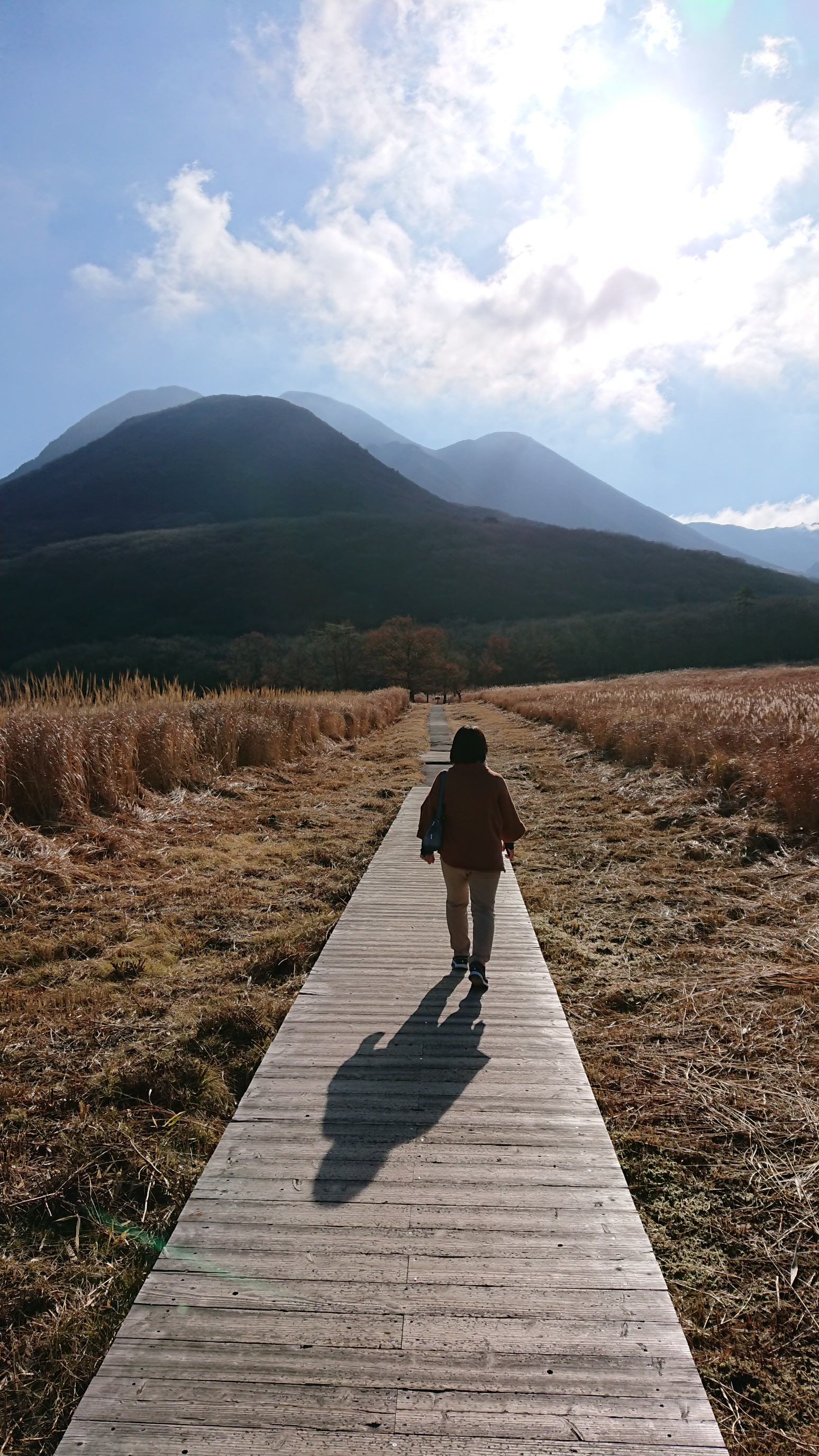 長者原のんびりお散歩 お友達 のお誕生日旅行 のんさんの九重山 久住山 大船山 星生山の活動データ Yamap ヤマップ