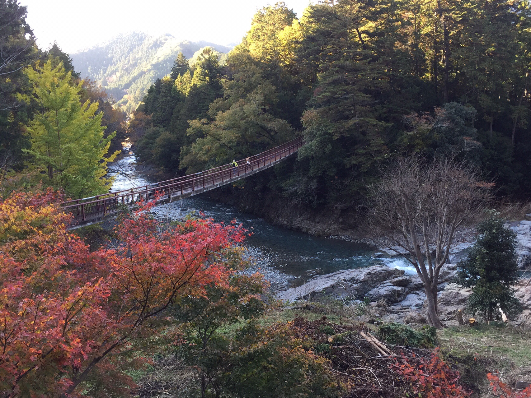 秋川渓谷 金比羅山コース Manmaruさんの網代弁天山 網代城山の活動データ Yamap ヤマップ