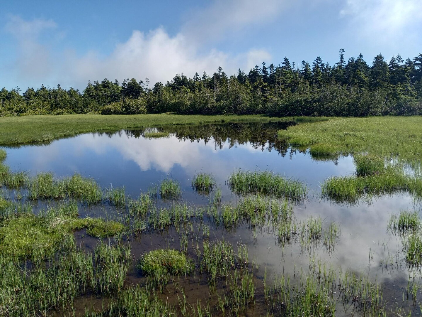 田代山・帝釈山 / こめさんさんの田代山・帝釈山の活動データ YAMAP / ヤマップ