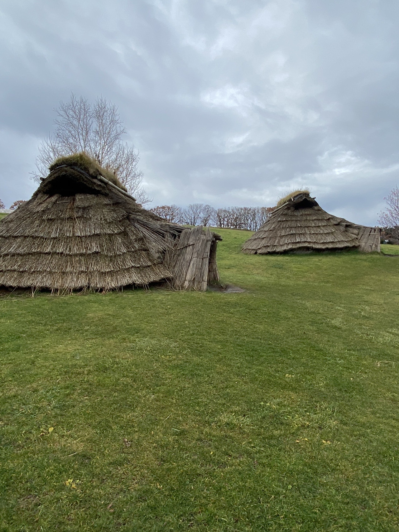 北黄金貝塚公園 11 22 Izuming22さんのウォーキングの活動データ Yamap ヤマップ