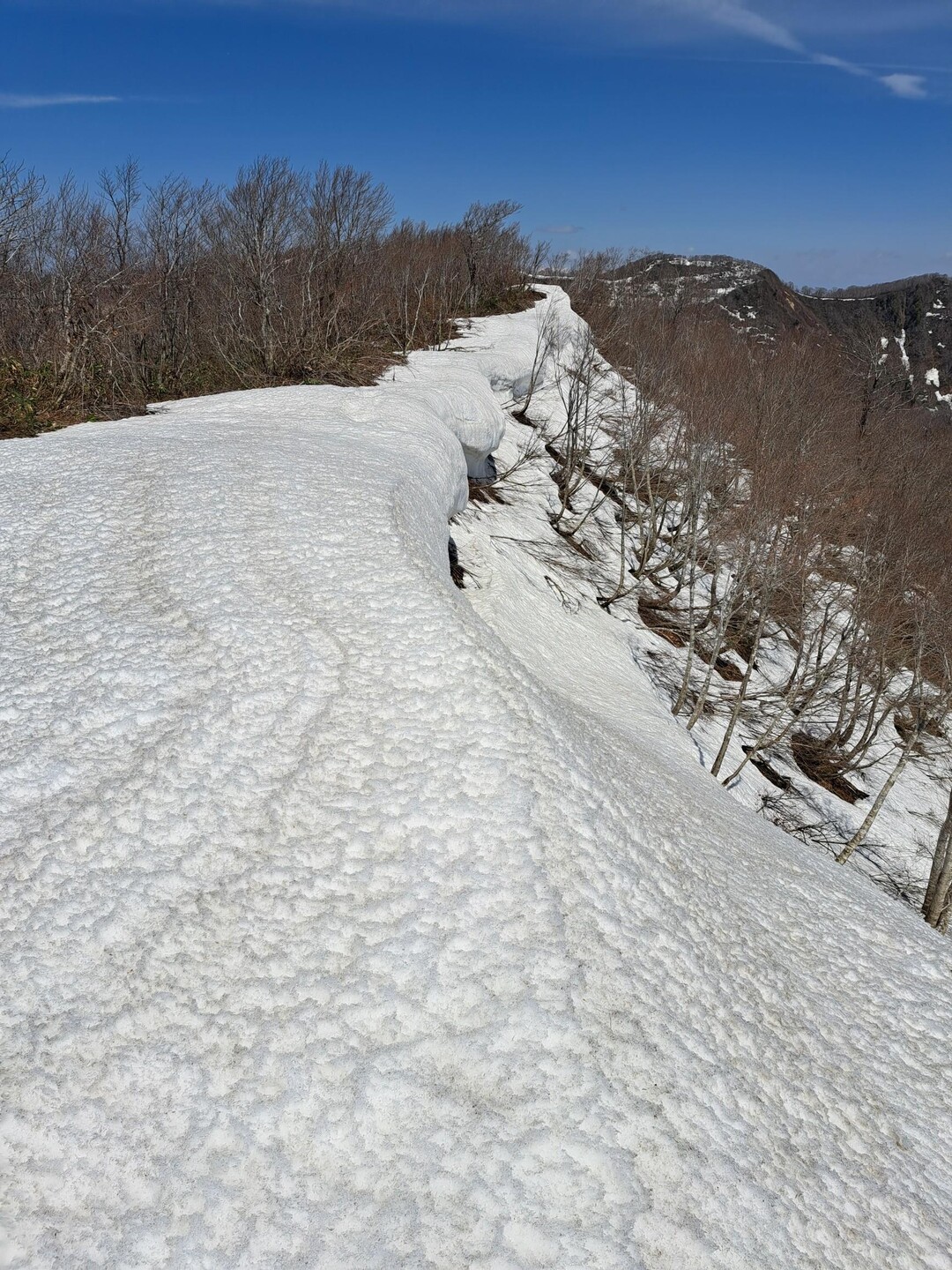 博士峠から博士山 / クーさんの博士山の活動データ YAMAP / ヤマップ