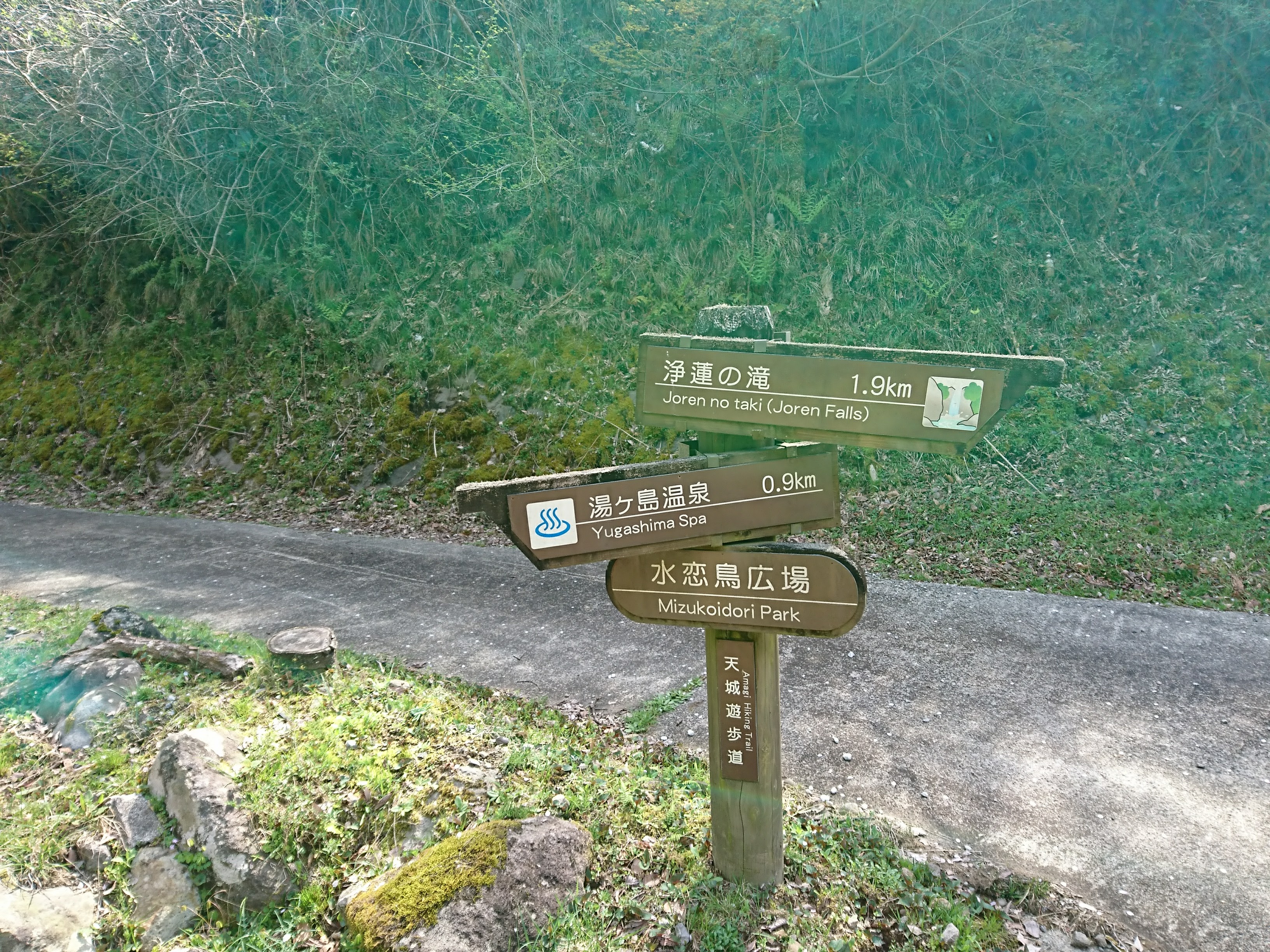 下田街道3 湯ヶ島 河津七滝 チョビ04さんの天城山 鉢ノ山 三筋山の活動日記 Yamap ヤマップ