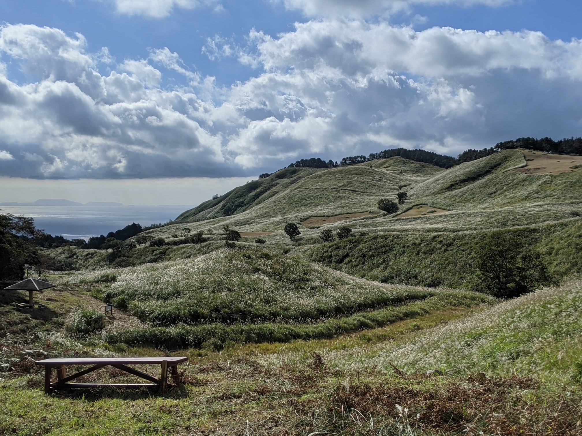 天城三筋山遊歩道 天城縦走路 戸塚歩道 伊豆稲取駅ー細野高原ー三筋山ー八丁池ー皮子平ー筏場 たたどいりたさんの天城山 鉢ノ山 三筋山の活動データ Yamap ヤマップ