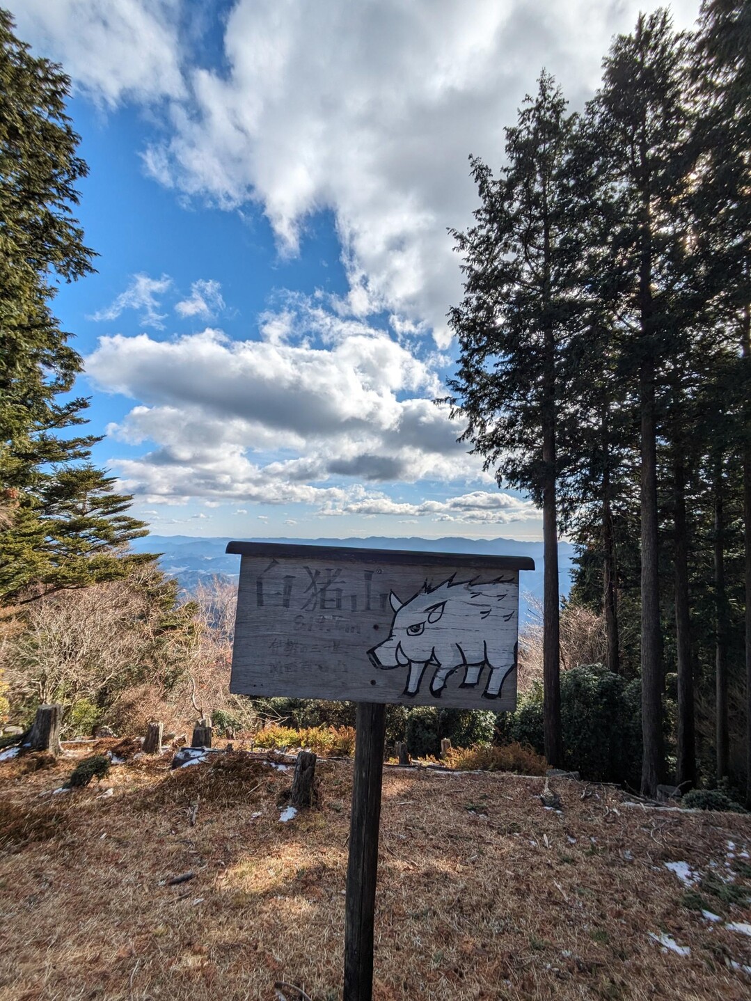 白猪山二ノ峰・白猪山 / ワタルくんさんの白猪山の活動データ YAMAP / ヤマップ