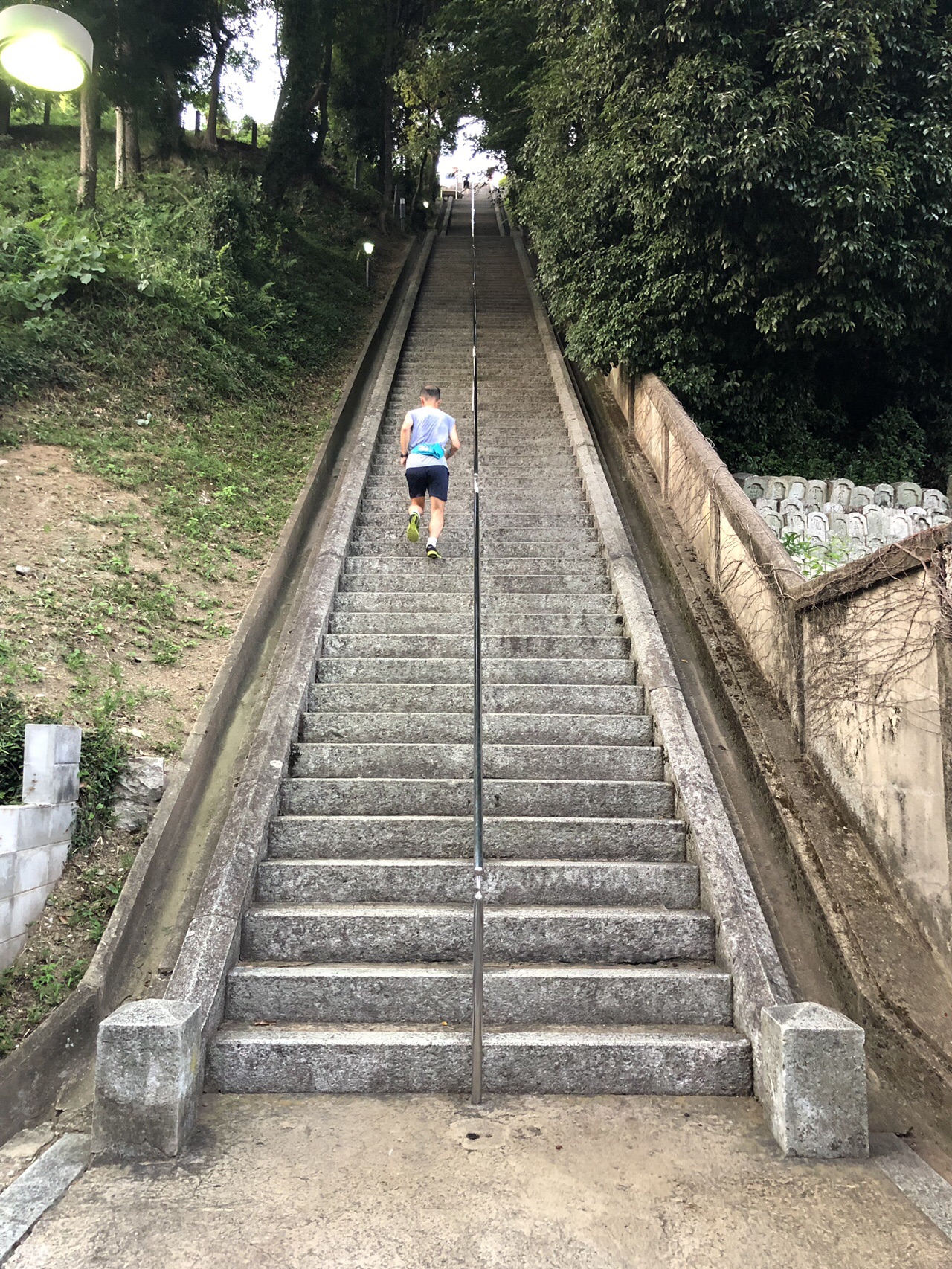 男山階段練 姫路城ダウンジョグ Haseさんの姫路市 龍野市の活動データ Yamap ヤマップ