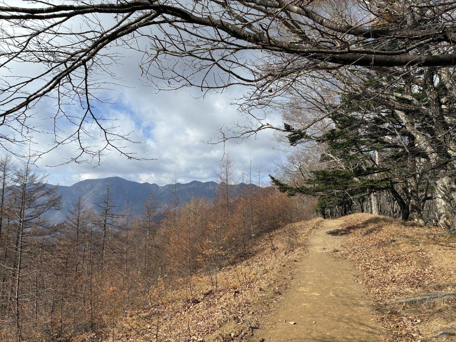 千本ツツジ（東京） | YAMAP / ヤマップ