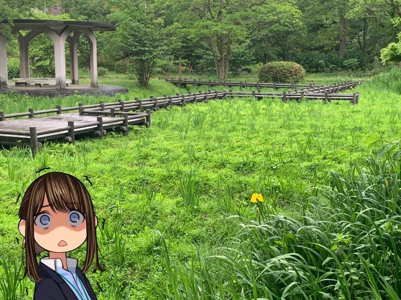 行田公園 05 16 タカシィさんの富山市の活動データ Yamap ヤマップ
