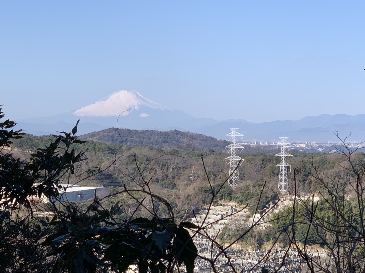 鎌倉アルプス 北鎌倉駅 明月院 天園 金沢自然公園 新杉田駅 Ayustathさんの鎌倉アルプス 大平山 天台山 の活動日記 Yamap ヤマップ