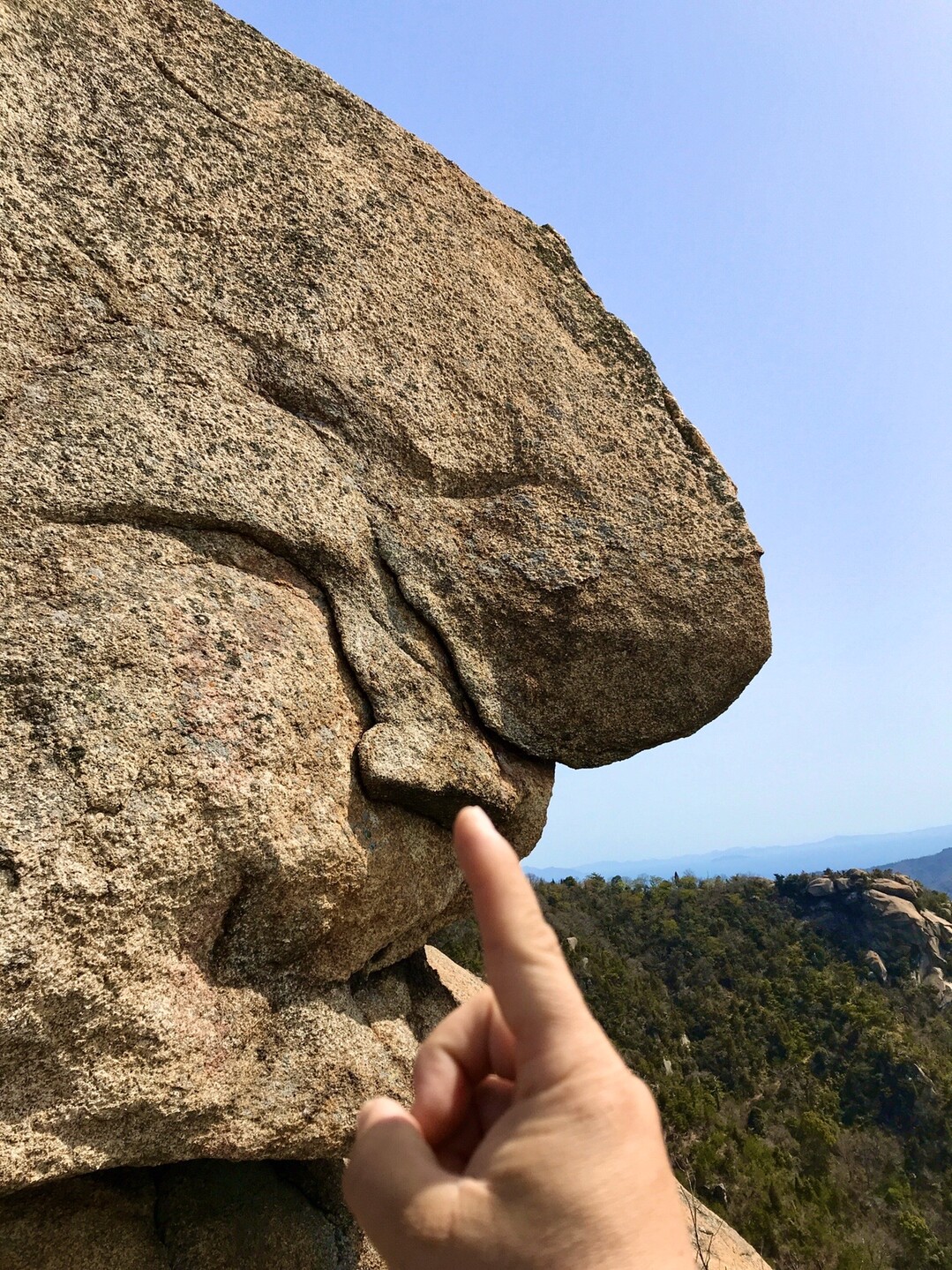 火山ヤンキーに喧嘩売ってきた せえあさんの火山 倉橋島 岳浦山の活動データ Yamap ヤマップ