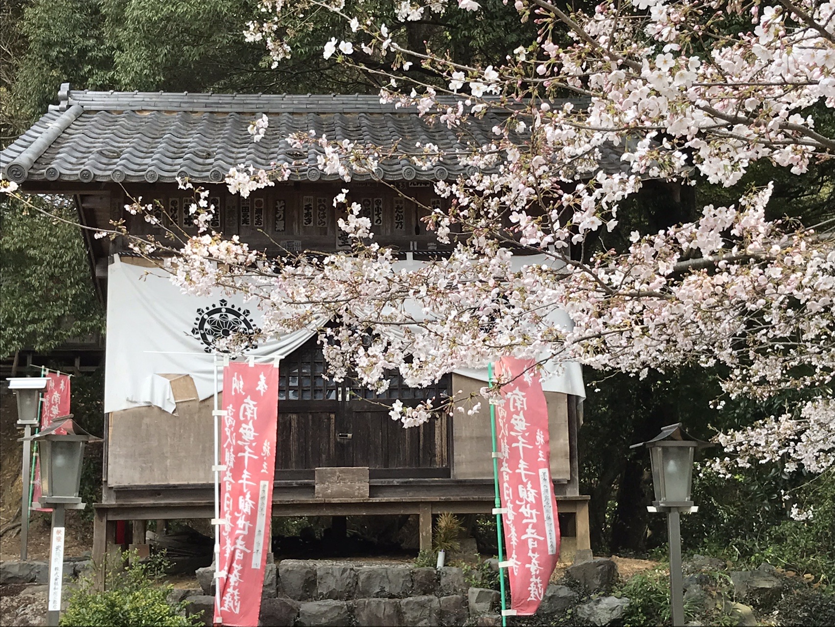 富野北アルプス 高沢観音 高沢山 大仏山 本城山 みささんの高沢山 平成山 高曝山の活動日記 Yamap ヤマップ