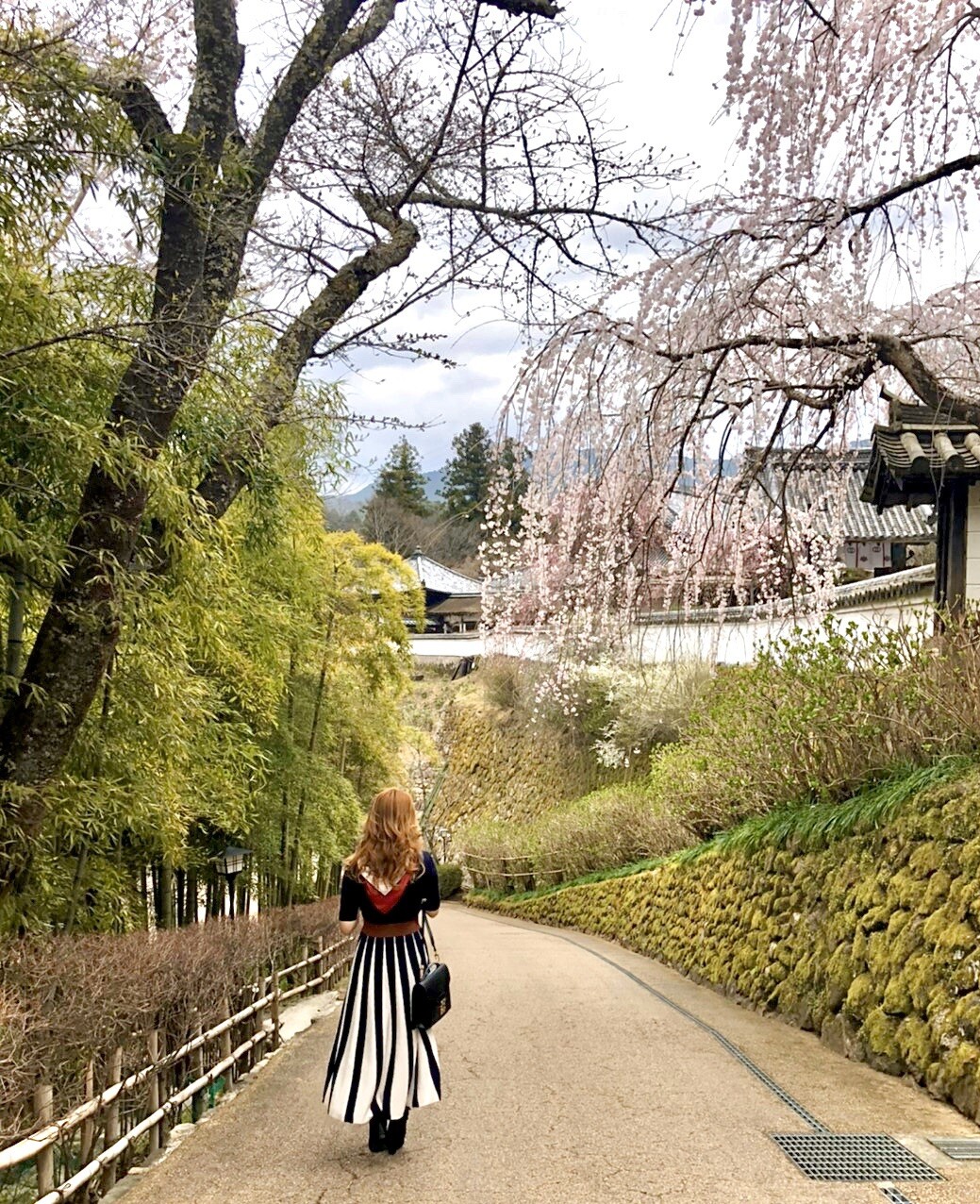 Yuchanのページ YAMAP / ヤマップ