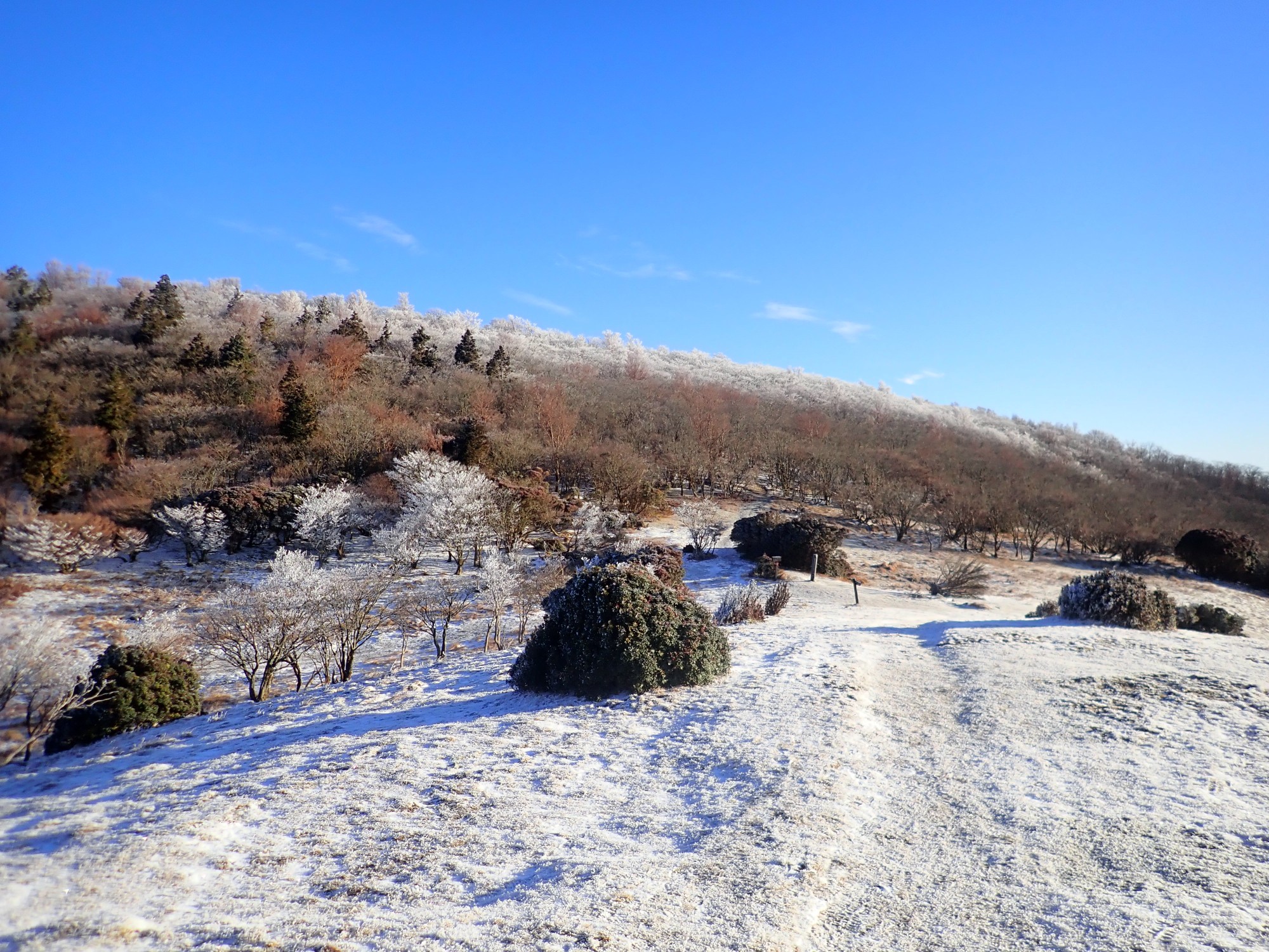 霧氷華やぐ三峰山 19 12 29 Standさんの三峰山 学能堂山の活動データ Yamap ヤマップ