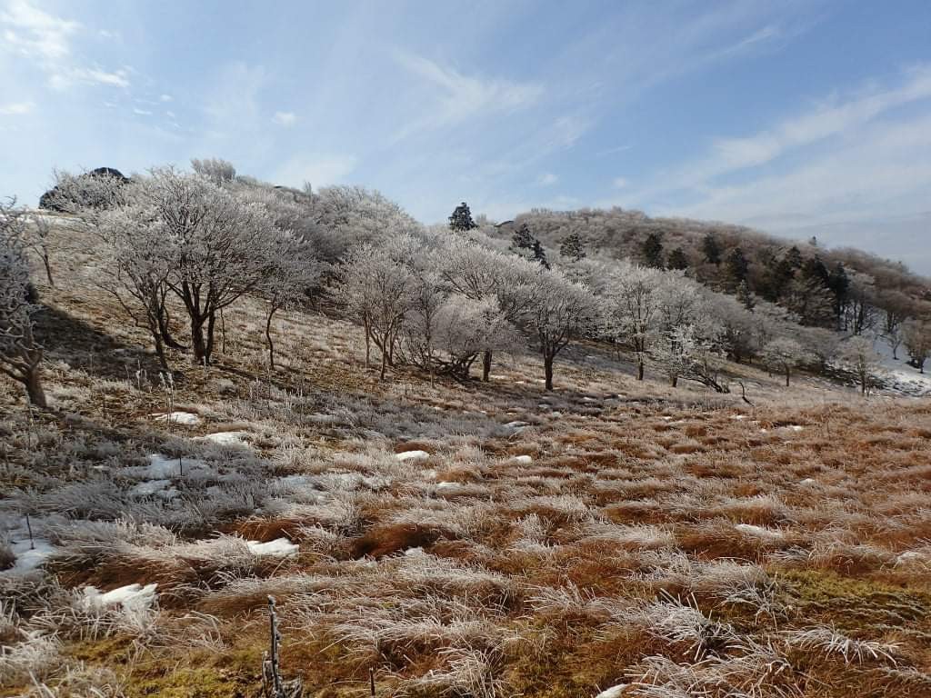 1週間ぶりの三峰山 霧氷はバッチリ ちくちゅーさんの三峰山 学能堂山の活動データ Yamap ヤマップ