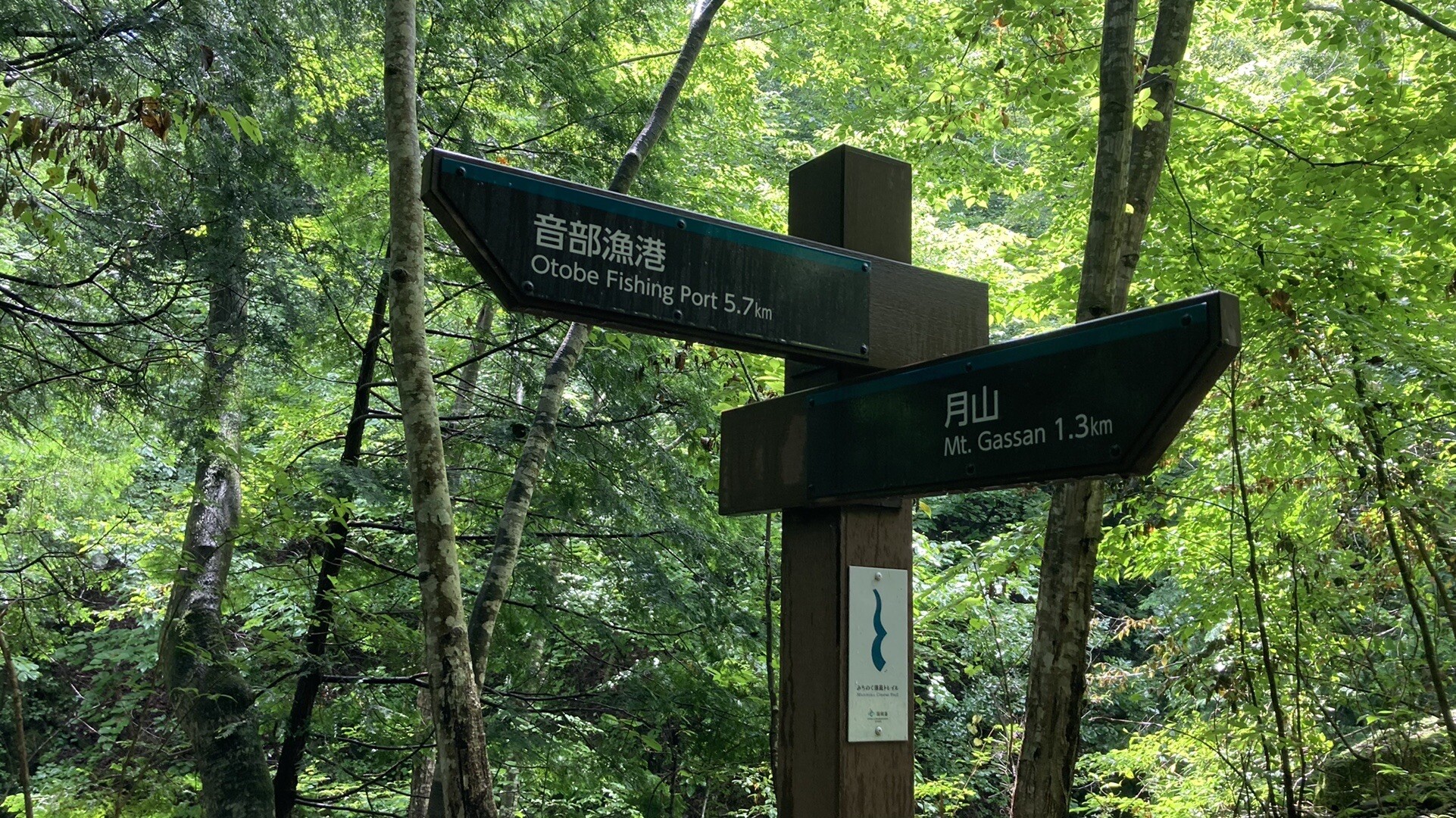 みちのく潮風トレイル 宮古〜重茂漁港 / みずさんのみちのく潮風トレイル 宮古市南部ルートの活動データ YAMAP / ヤマップ