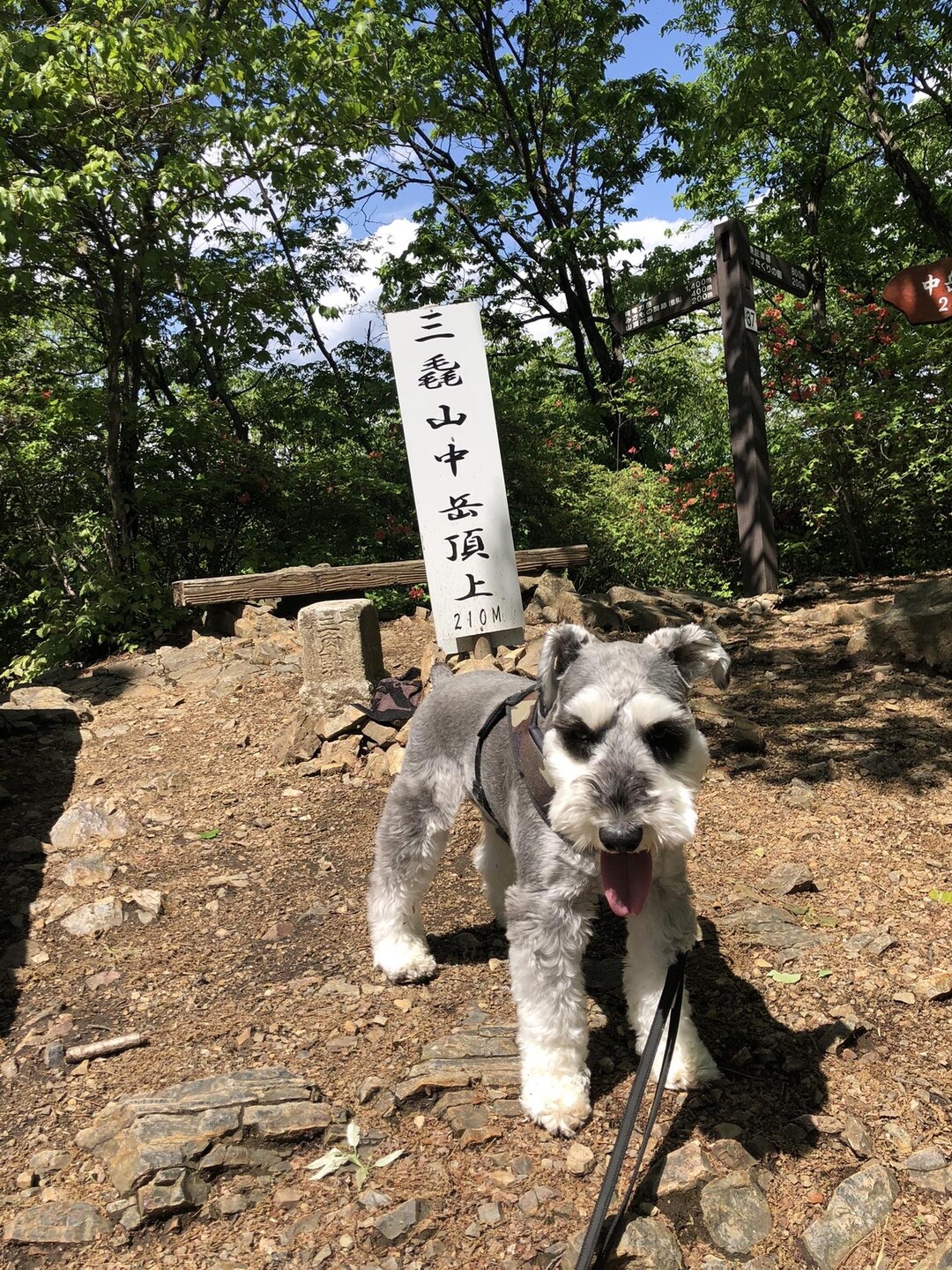 中岳・三毳山（青竜ヶ岳）