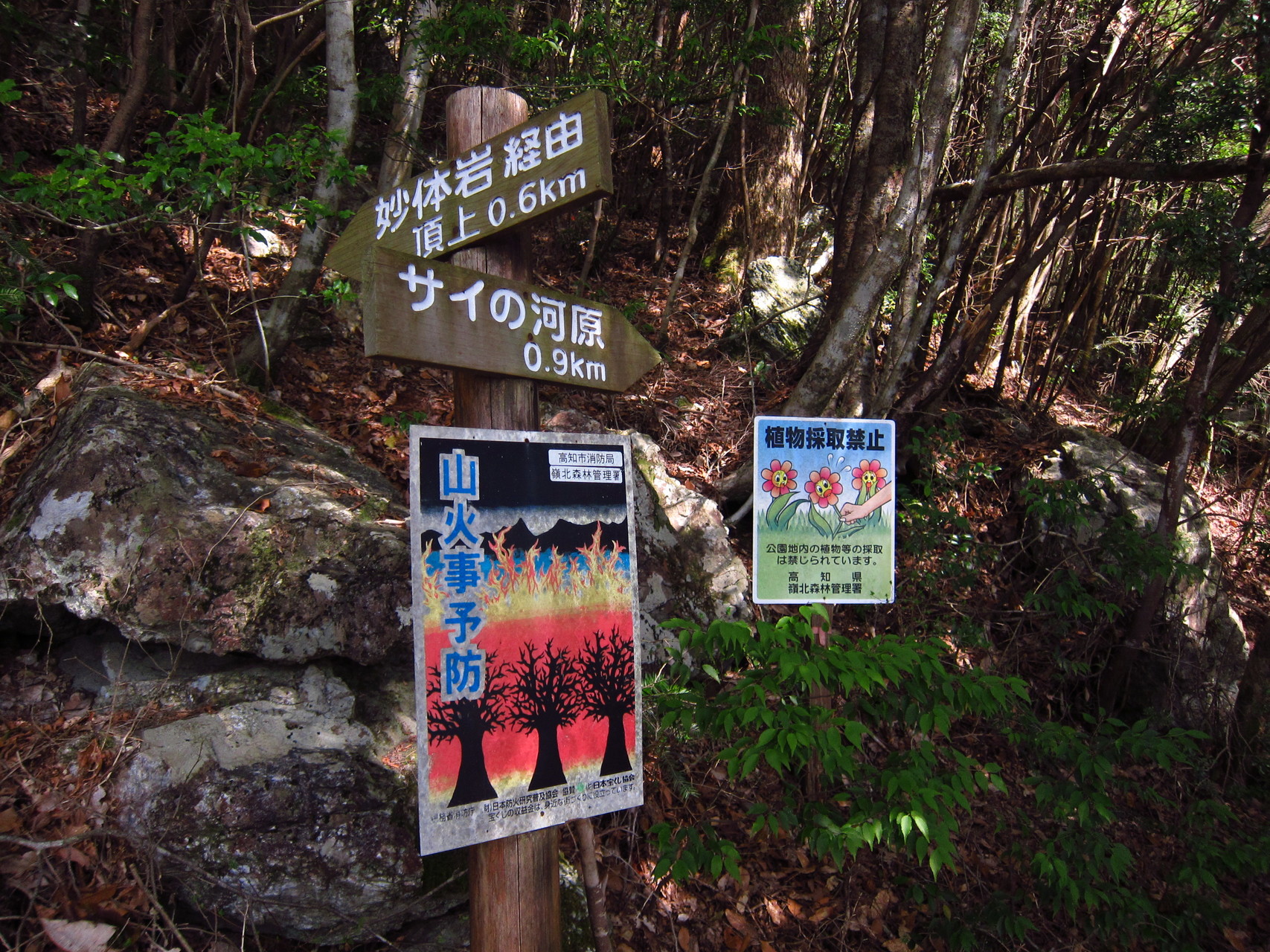 岩とアケボノの工石山 おかかさんの工石山の活動日記 Yamap ヤマップ