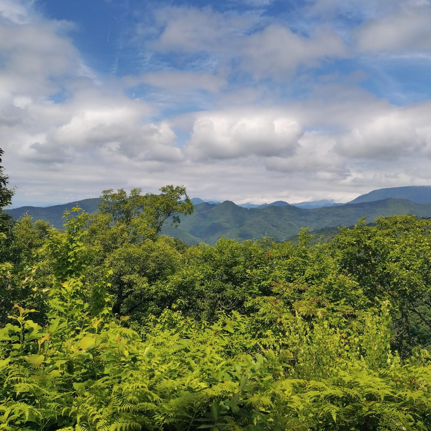 ❤️高品質　形良く　✳影山入り　ヒマラヤ　422g 極みの逸品　 クラスター ❤️高品質形良く✳影山入りヒマラヤ422g 極みの逸品 クラスター