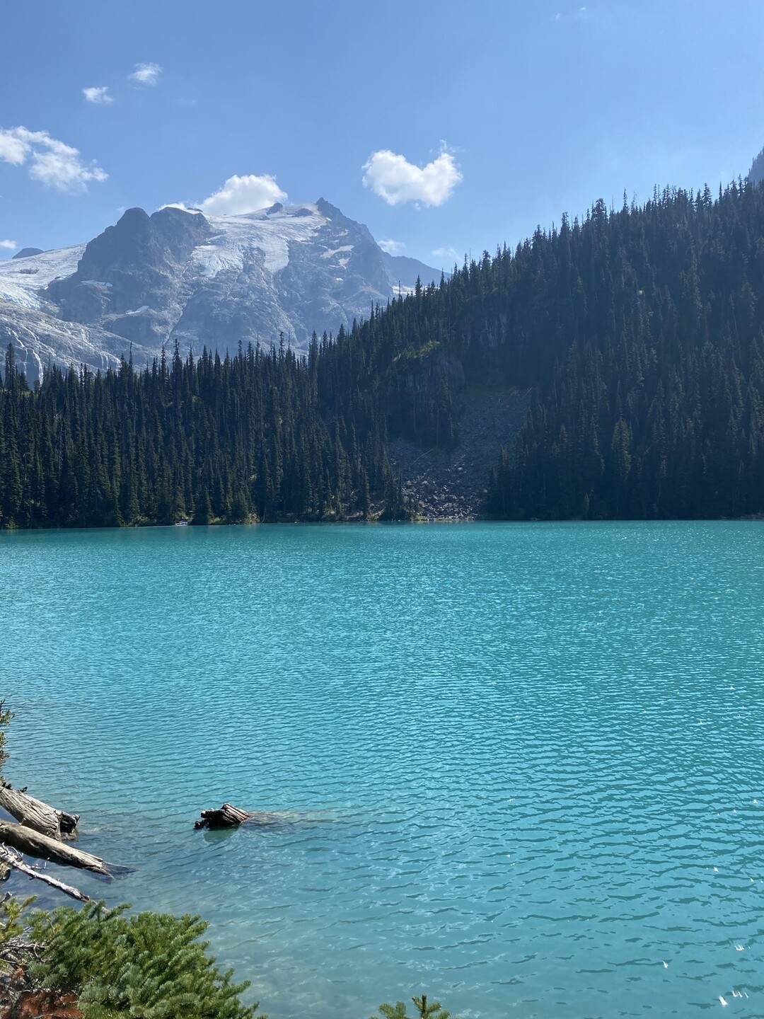 崖柏木(ヤーベイ木)、クォンタムクアトロシリカ の ブレス（Gijie特別  