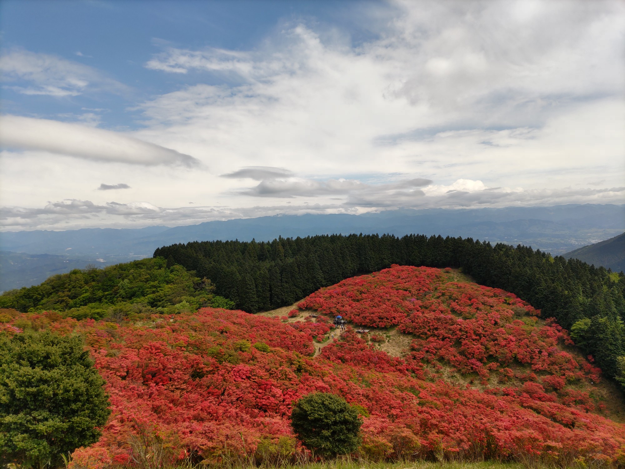 葛城山 ツツジを見に のっぺさんの金剛山 二上山 大和葛城山の活動データ Yamap ヤマップ