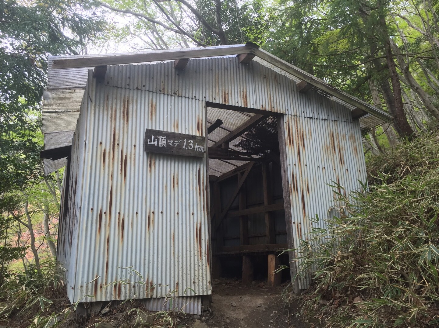 入道ヶ岳 馬酔木の森で一休み 入道ヶ岳 鎌ヶ岳 仙ヶ岳の写真19枚目 休憩小屋 山頂まで1 3km Yamap ヤマップ