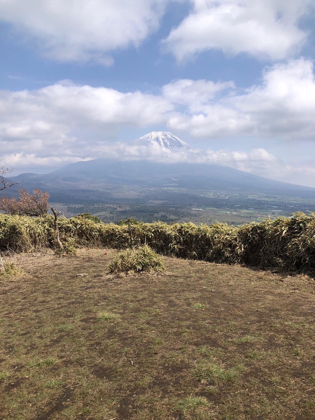 朝霧の竜から富士を