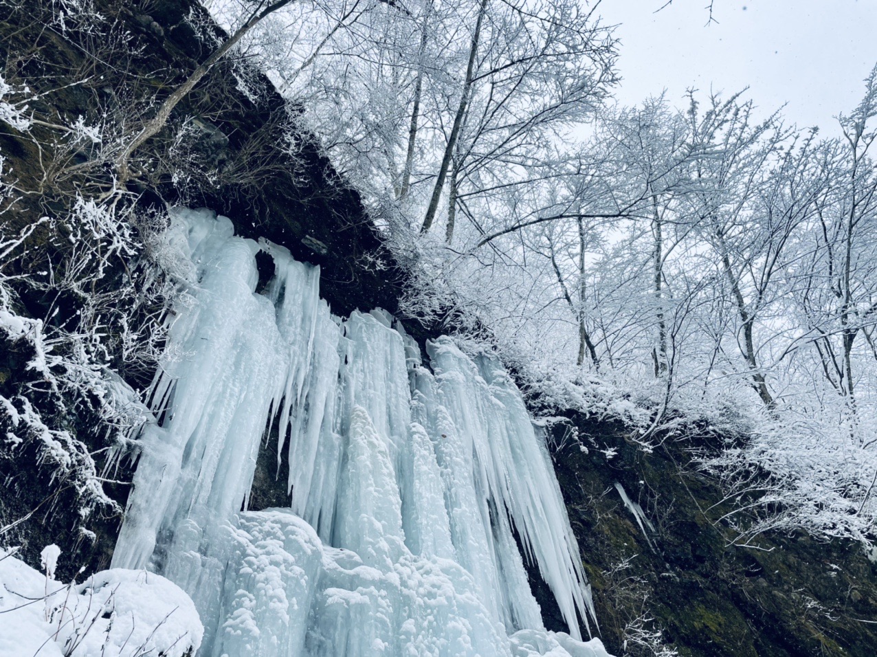 湯川渓谷でアイスクライミング 21 01 24 ミキさんのウォーキングの活動データ Yamap ヤマップ