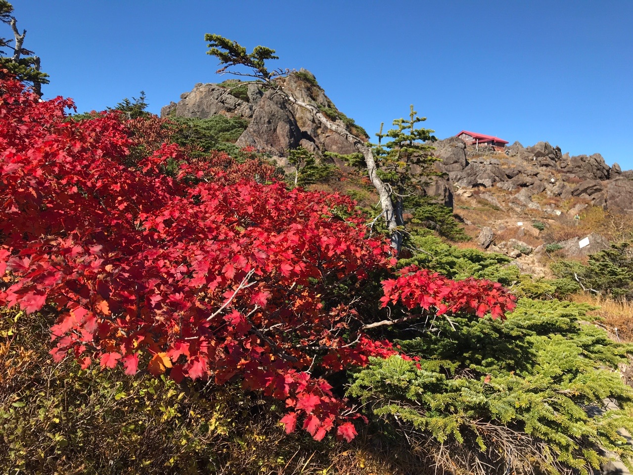 早池峰山 小田越コースの地図 登山ルート 登山口情報 Yamap ヤマップ