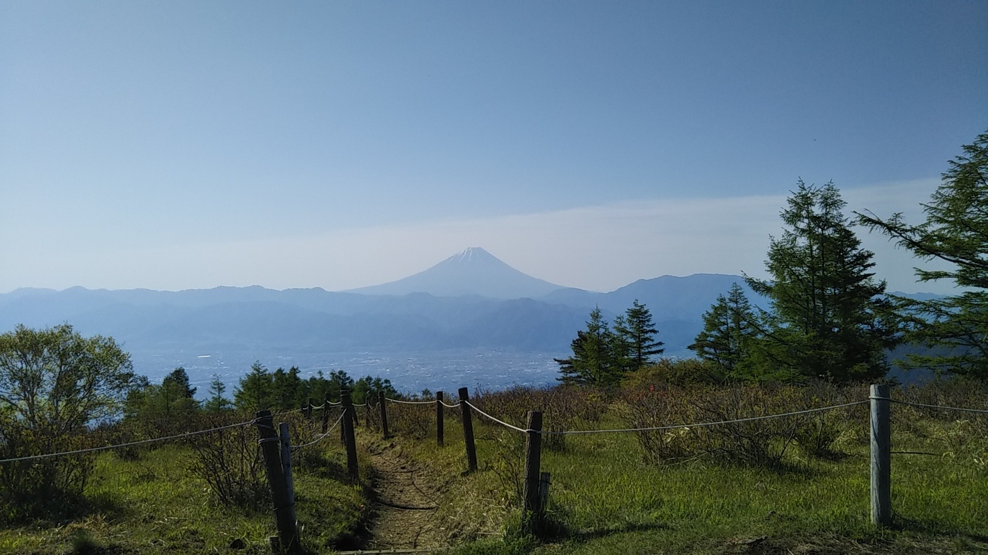 果てしなく青い この空の下で 甘利山 奥甘利山 大西峰 千頭星山 怒りの獣神さんの鳳凰山 地蔵岳 観音岳 薬師岳の活動データ Yamap ヤマップ