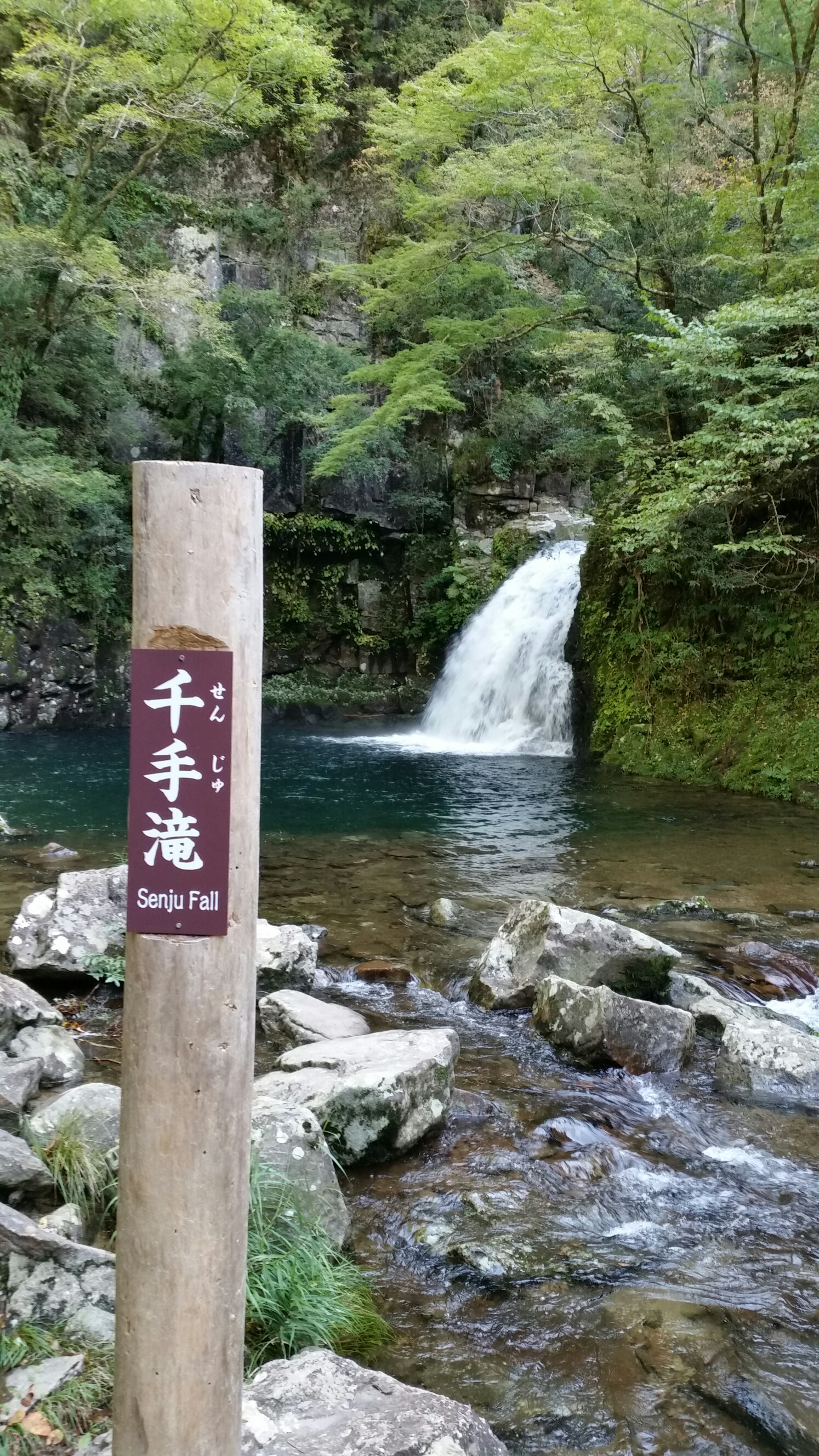滝春 赤白 落合～赤目四十八滝 / ヒーローKさんの長坂山・赤目四十八滝の