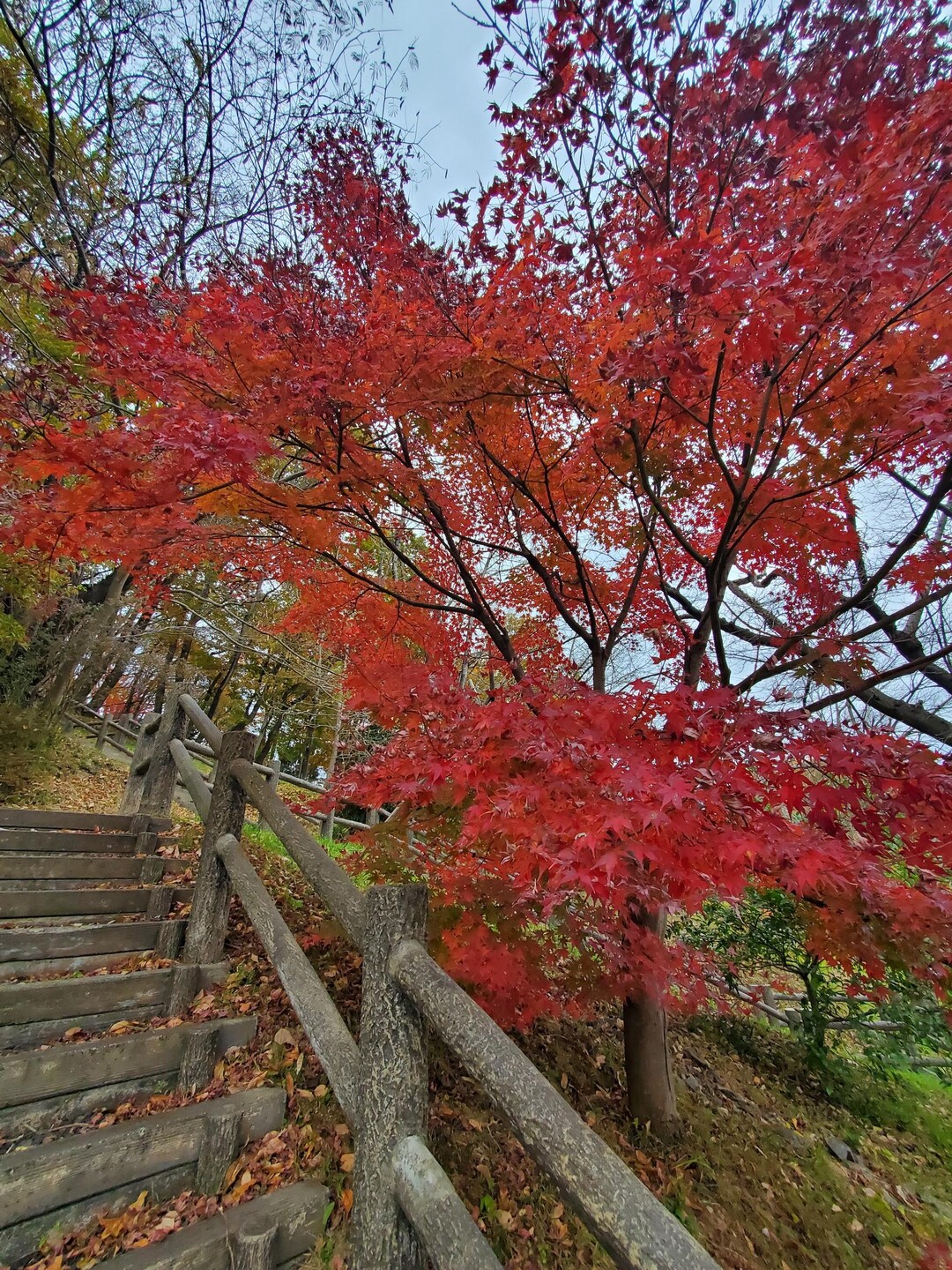 弁天山(椿山) / ははさんの十万劫山の活動データ | YAMAP / ヤマップ