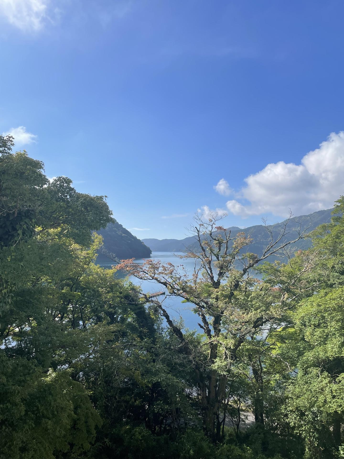神山・駒ヶ岳 / やまッぷぎしさんの箱根山・神山の活動データ | YAMAP / ヤマップ